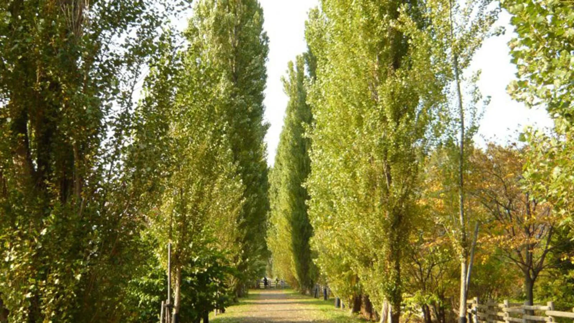 Nearby landmark in Toyoko Inn Hokkaido Sapporo-eki Nishi-guchi Hokudai Mae