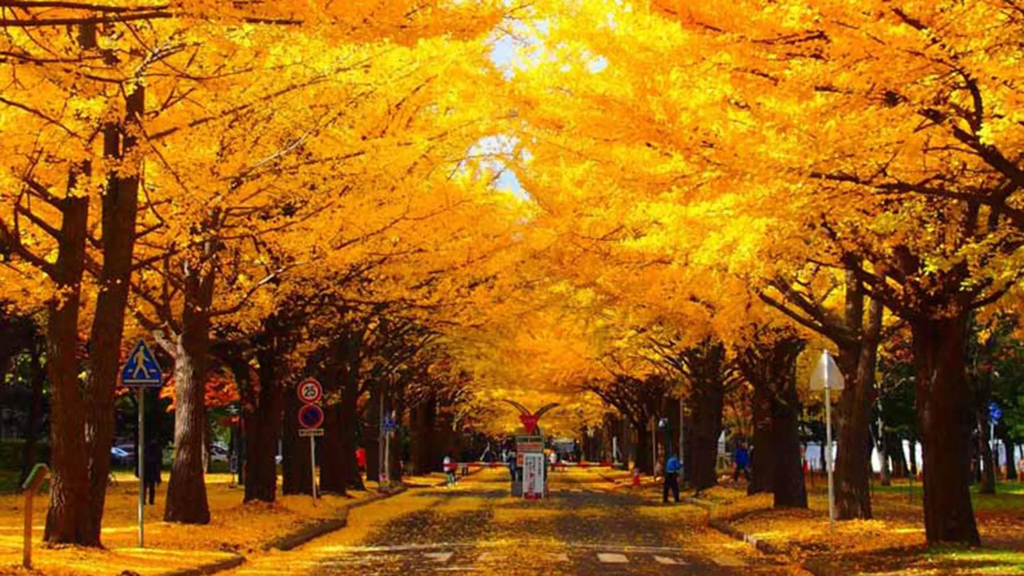 Nearby landmark in Toyoko Inn Hokkaido Sapporo-eki Nishi-guchi Hokudai Mae