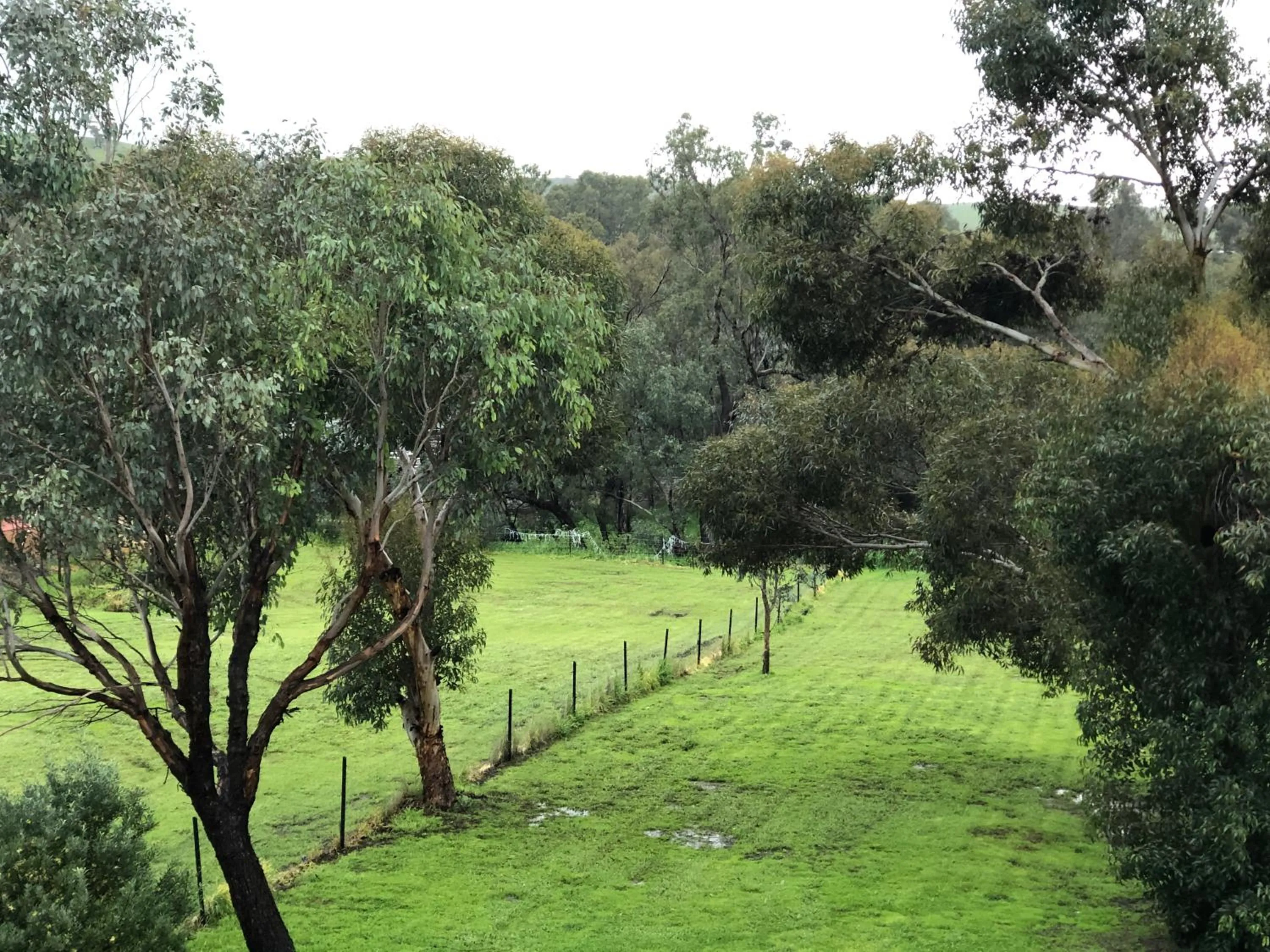 Garden view, Garden in Toodyay Manor