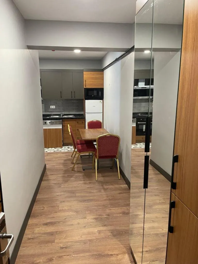 Kitchen or kitchenette in Almin Apart Hotel