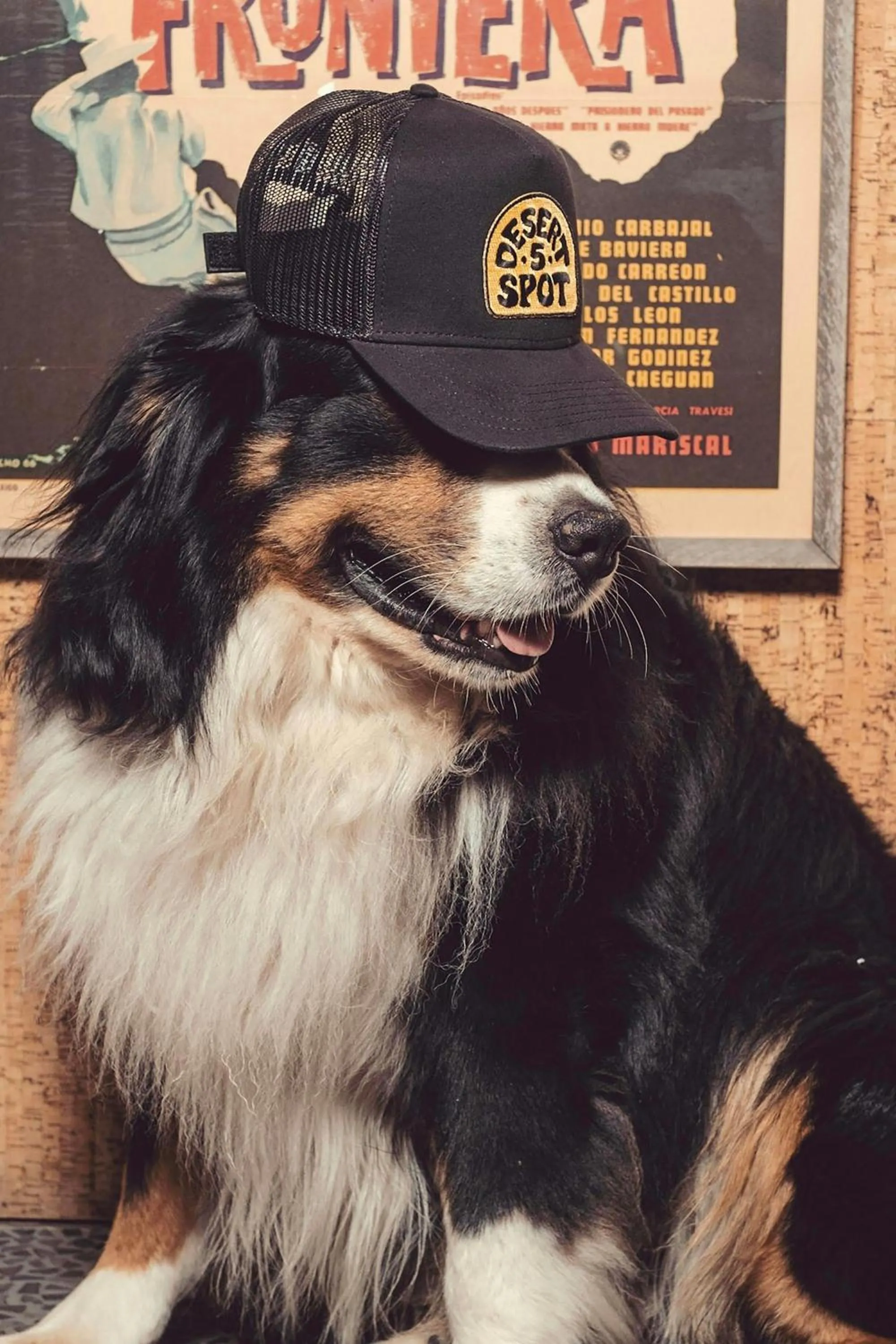 Other in HOLLYWOOD VOLUME, a Tribute Portfolio Hotel