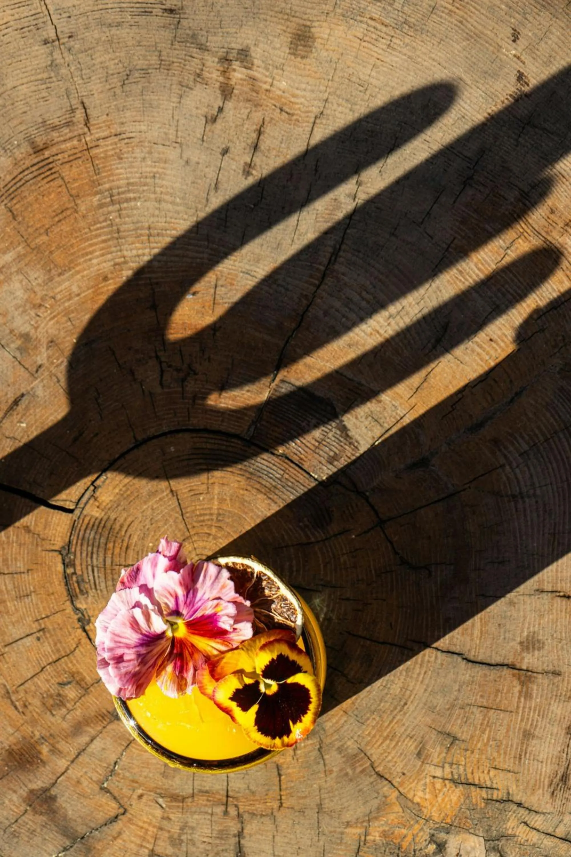 Restaurant/places to eat in HOLLYWOOD VOLUME, a Tribute Portfolio Hotel