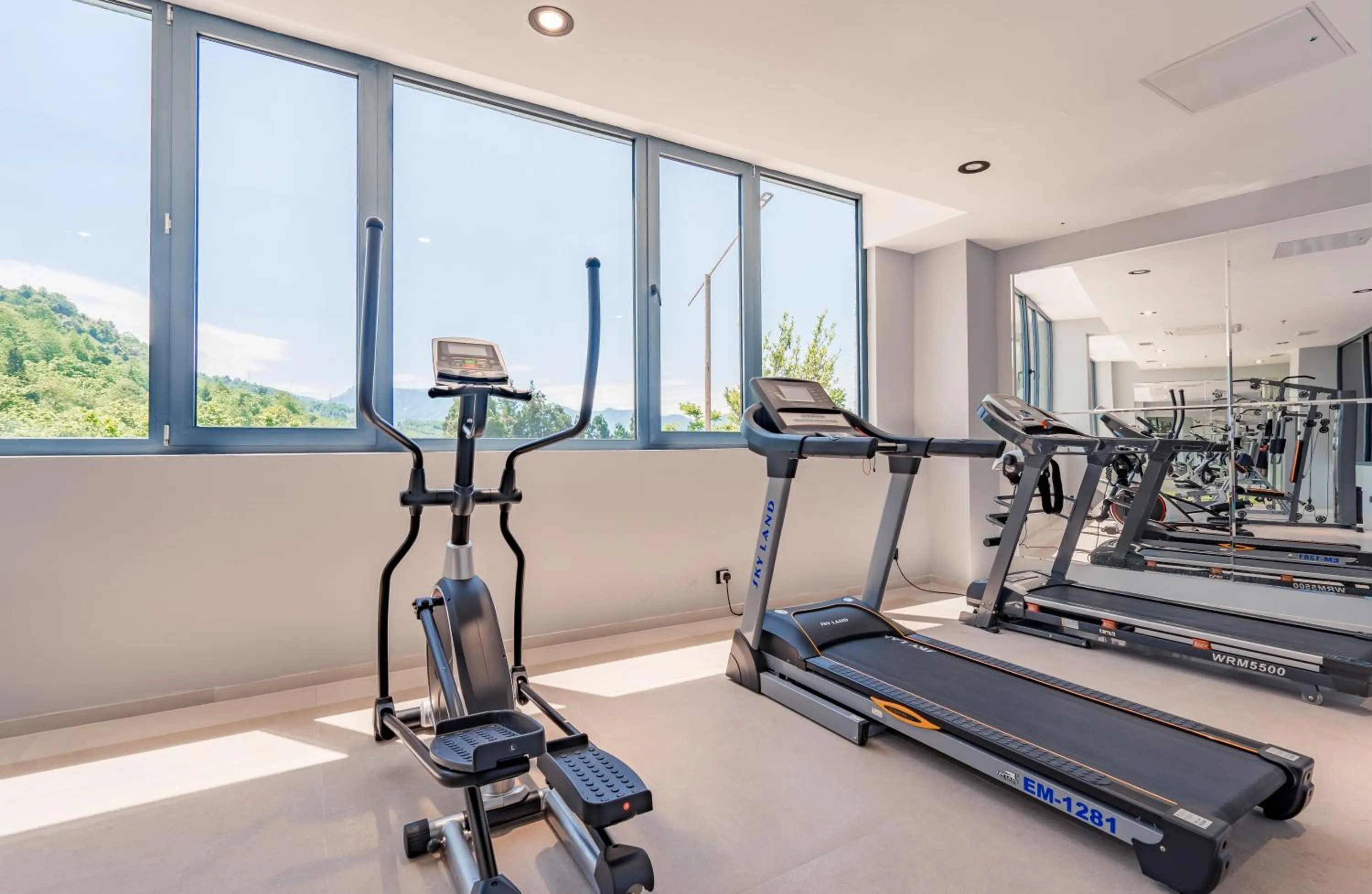 Fitness centre/facilities in Litz Resort