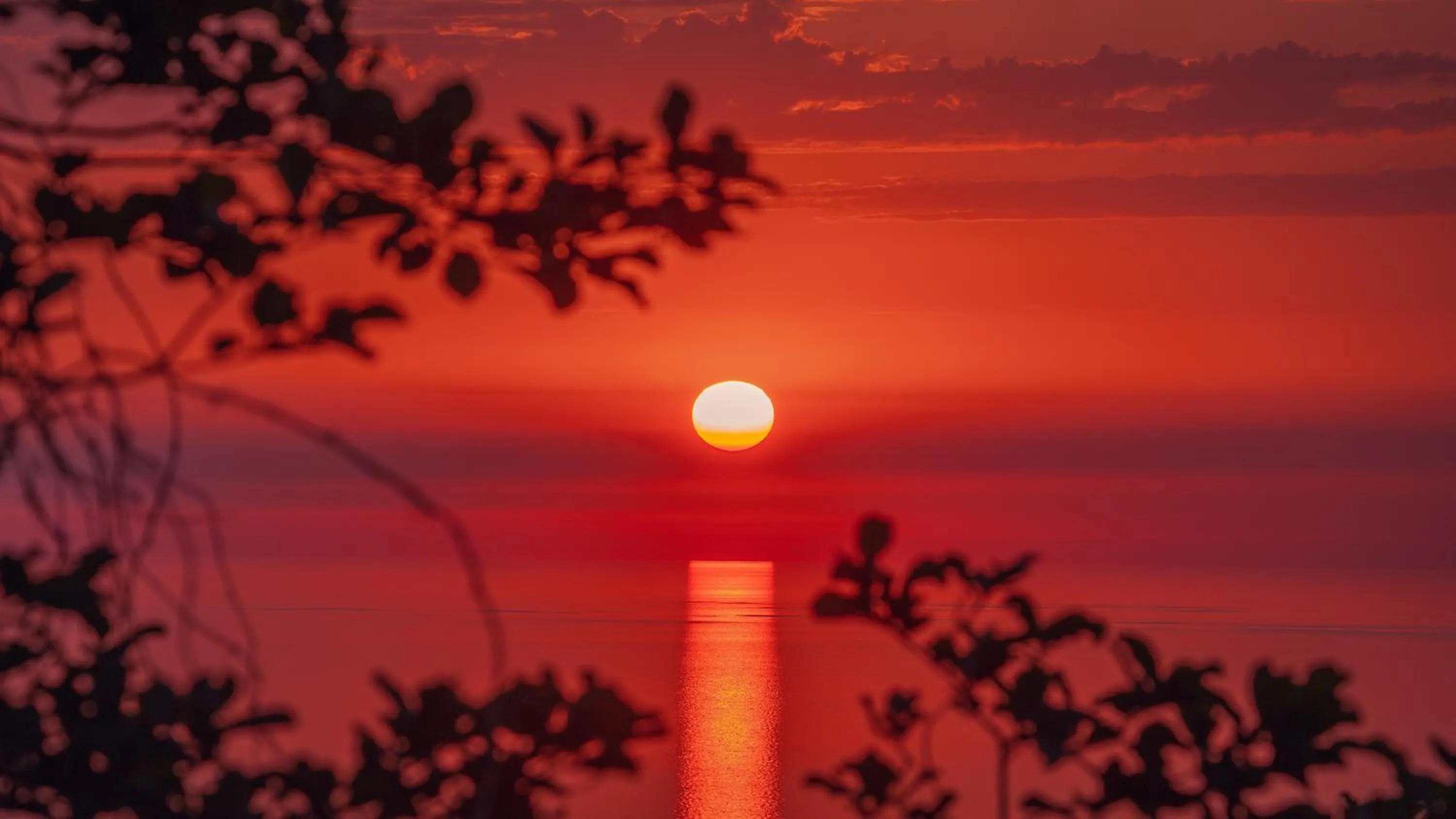 View (from property/room) in Litz Resort