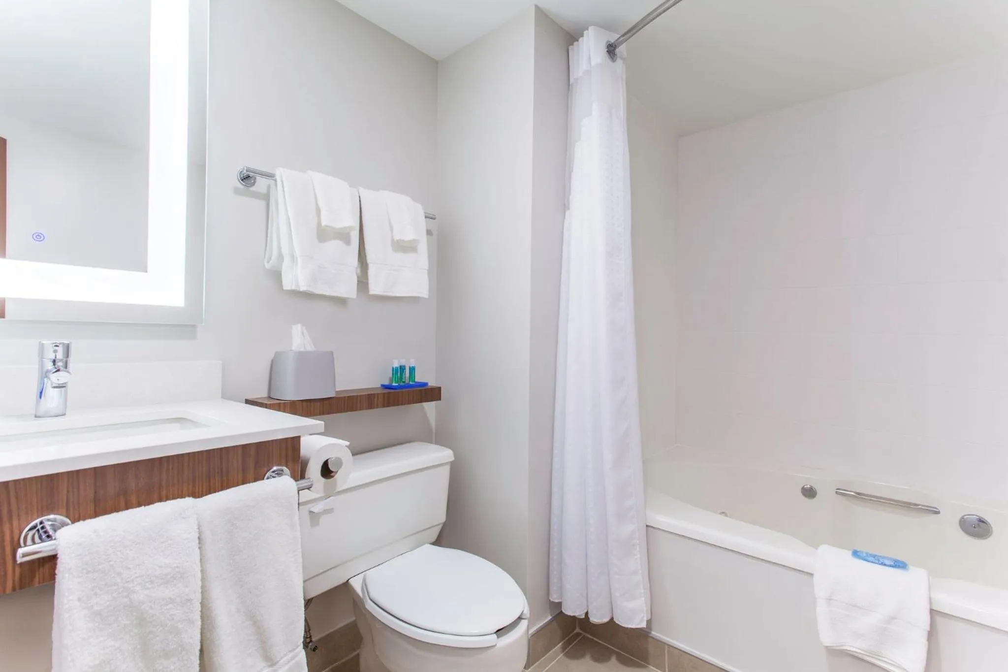 Bathroom in Holiday Inn Express & Suites Mississauga-Toronto Southwest by IHG