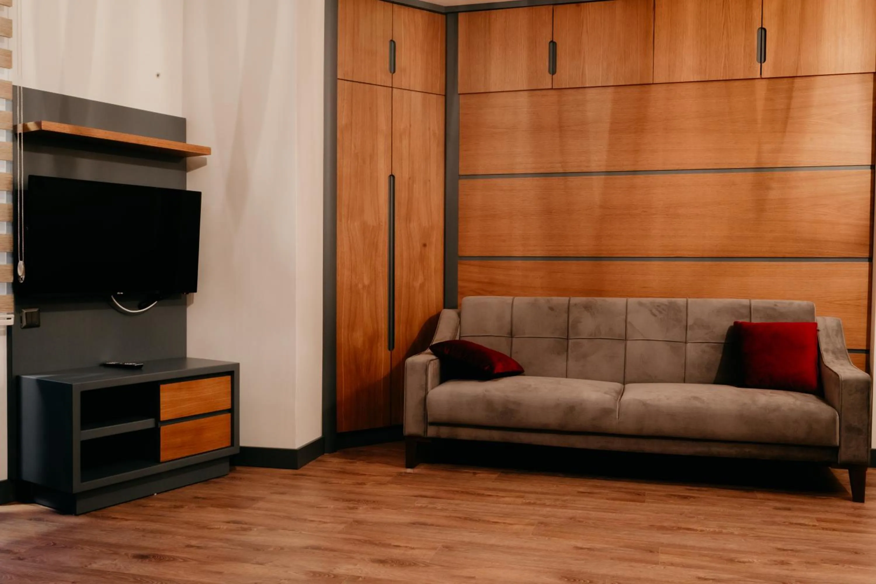 TV and multimedia in Ceneviz Suit Hotel