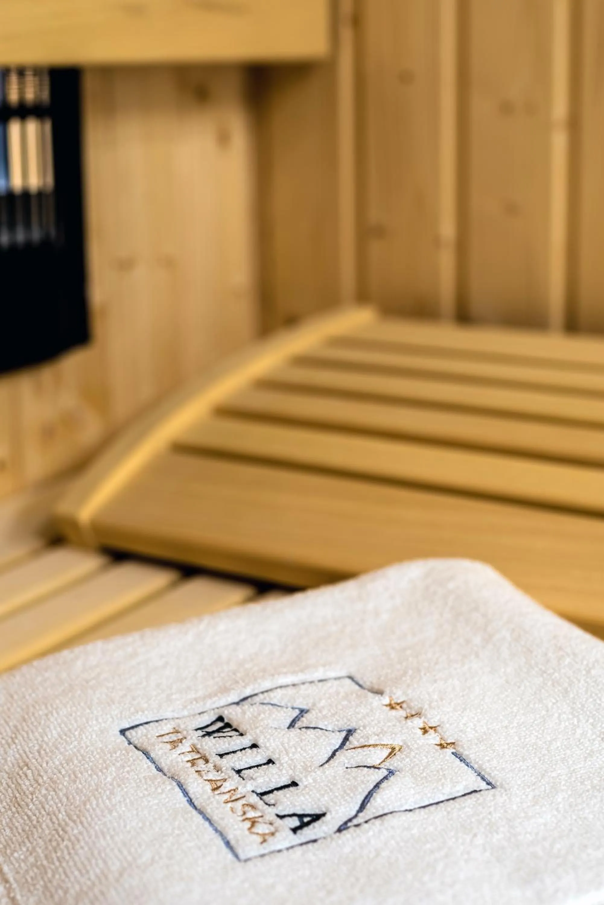 Sauna, Bed in Hotel Willa Tatrzańska