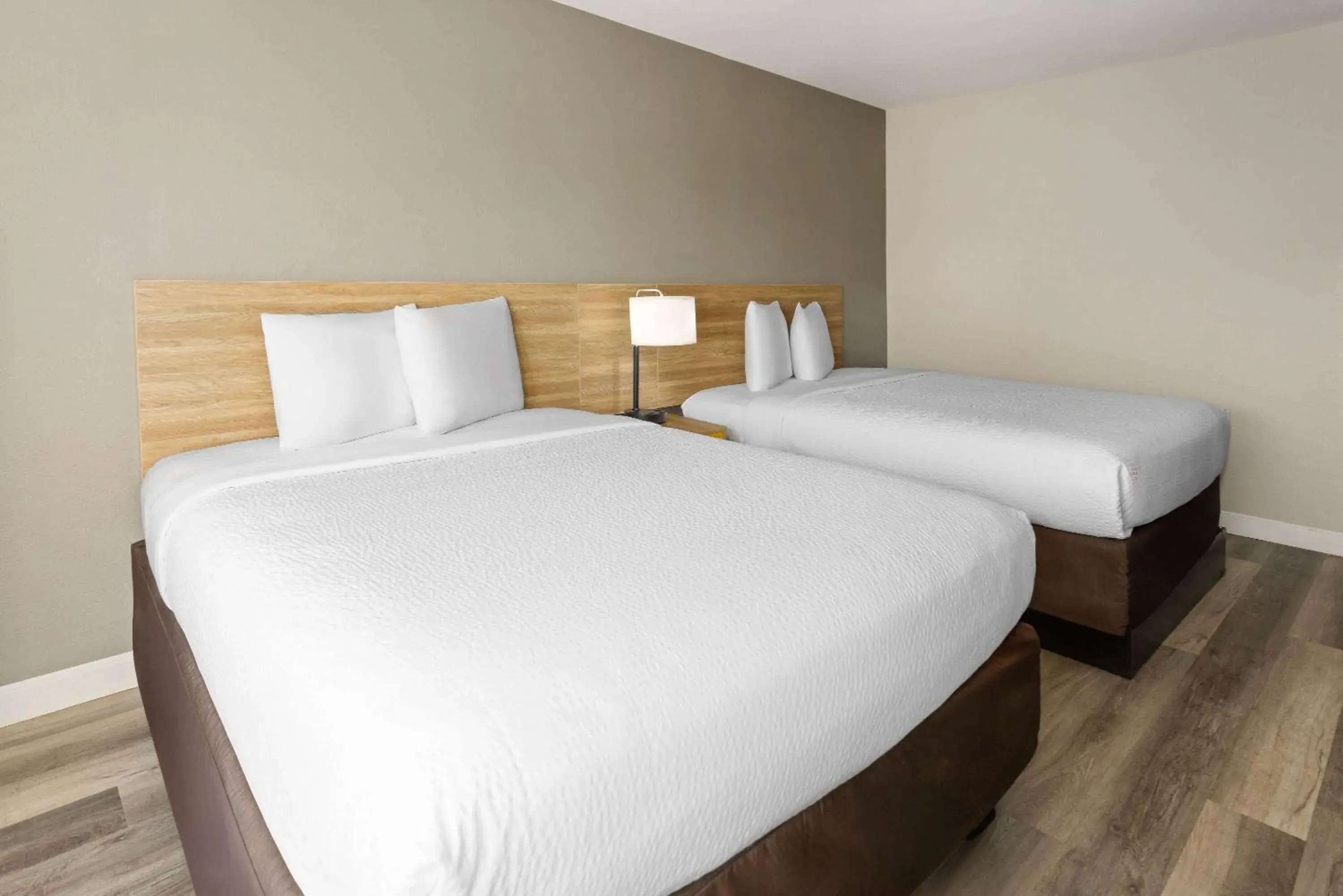 Photo of the whole room, Bed in Days Inn by Wyndham Jackson Downtown Photo of the whole room, Bed in Days Inn by Wyndham Jackson Downtown