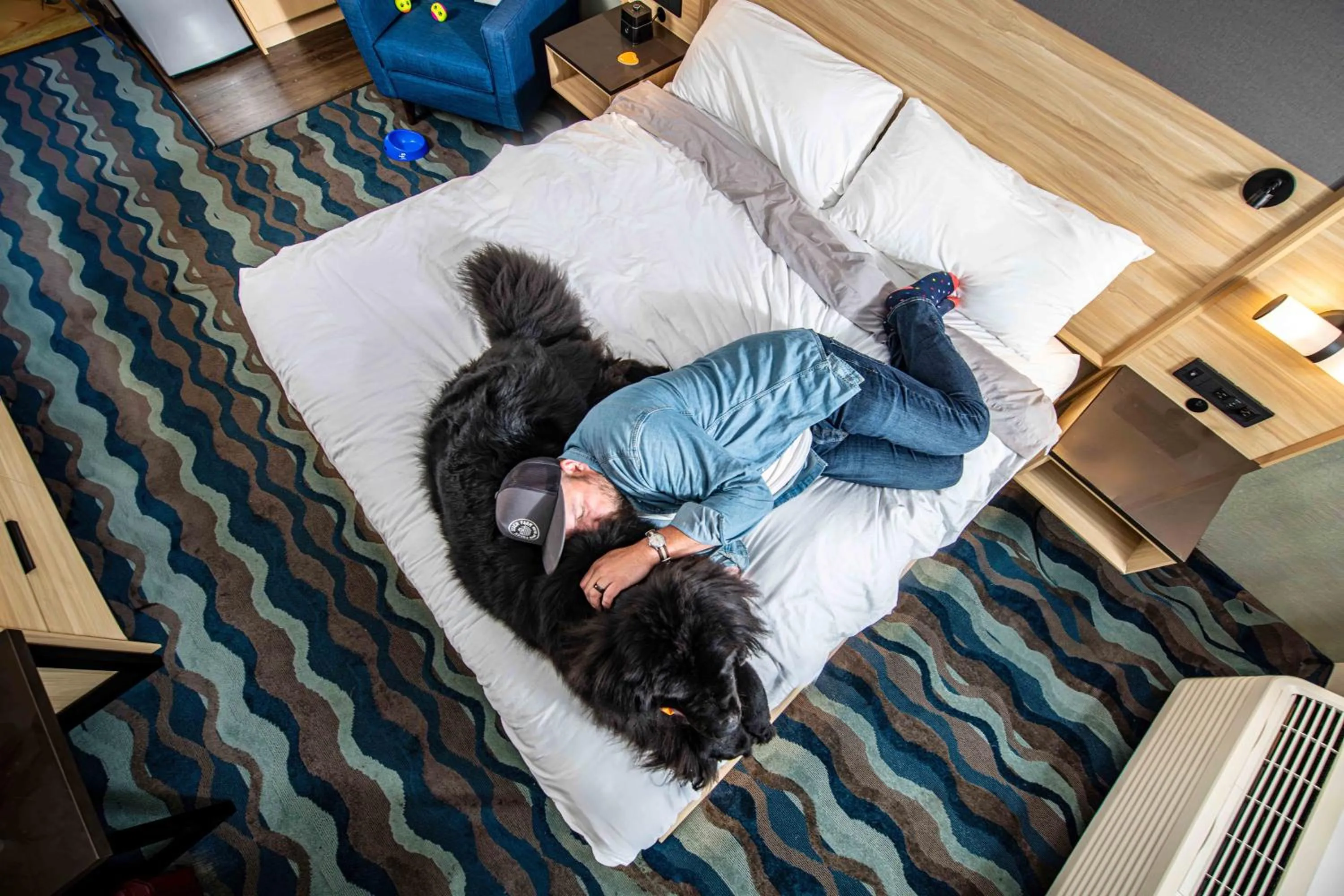 People, Bed in Accent Inns Vancouver Airport