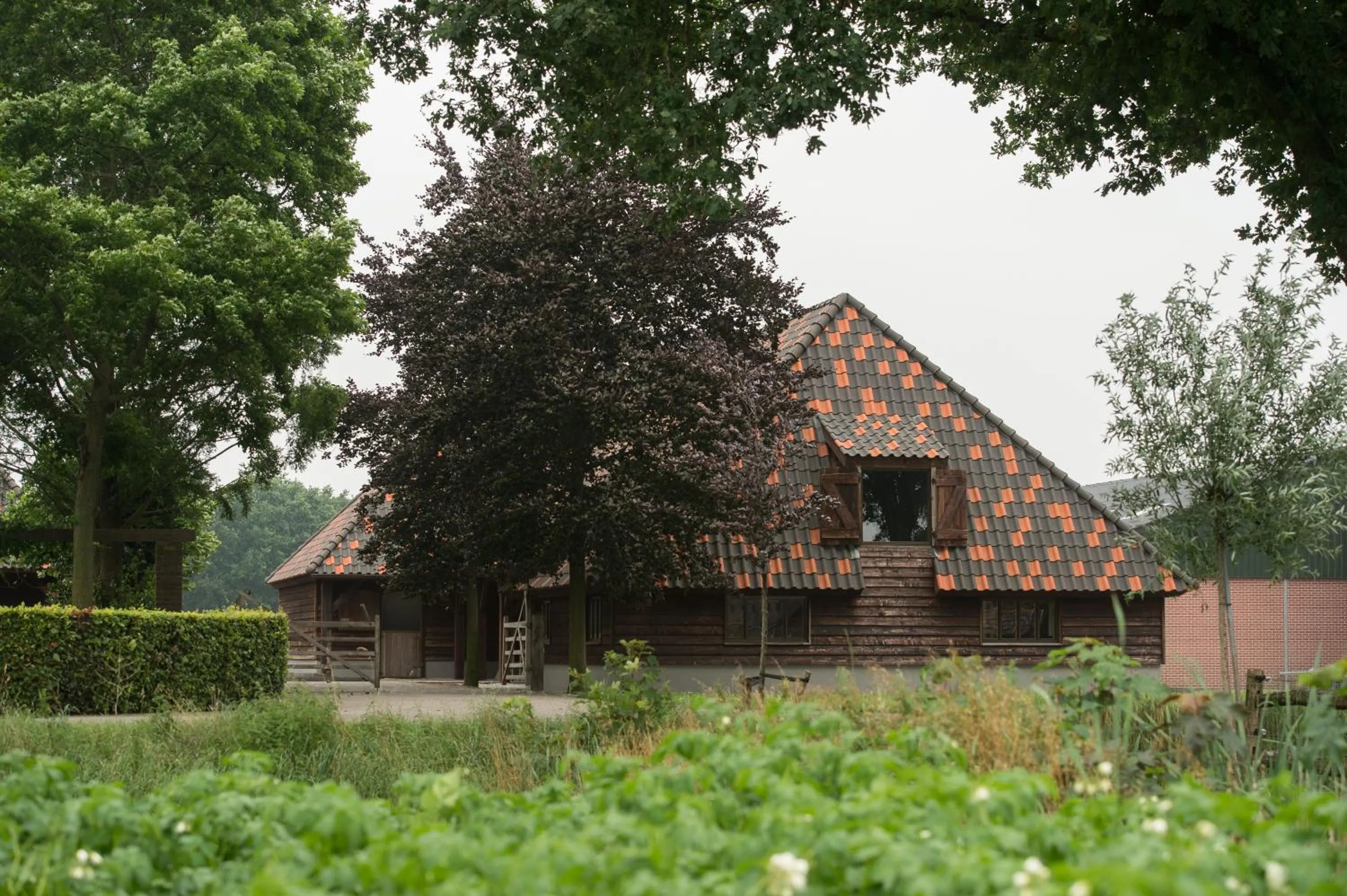 Property building in Erve Jonkerhoeve