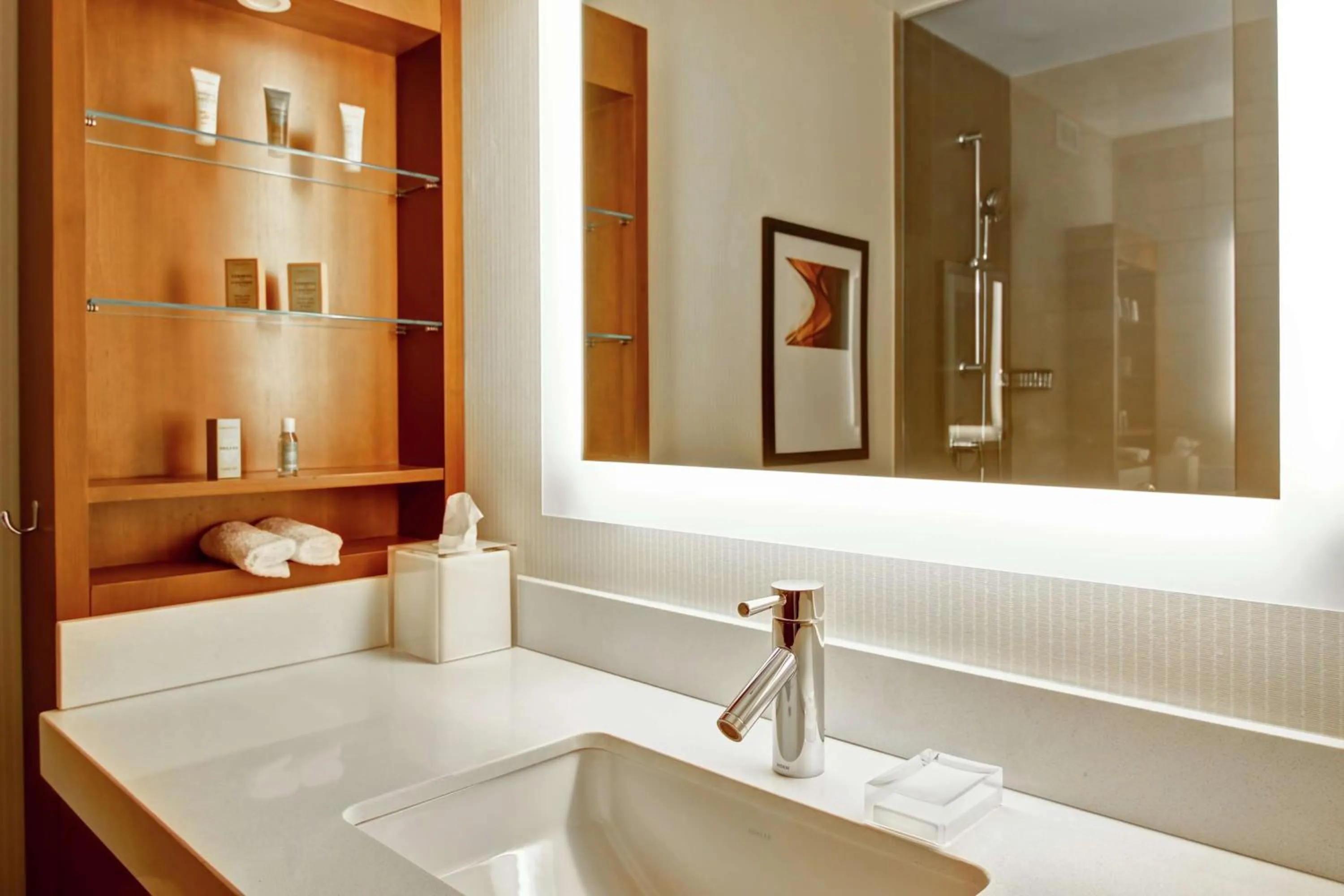 Bathroom in Hilton Mississauga/Meadowvale