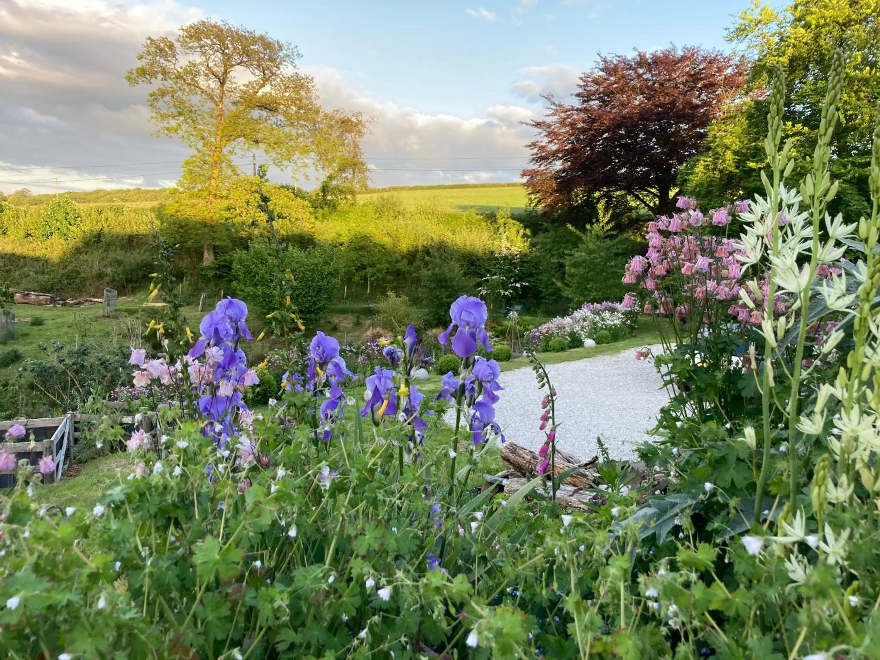 Garden in Frizenham Farmhouse