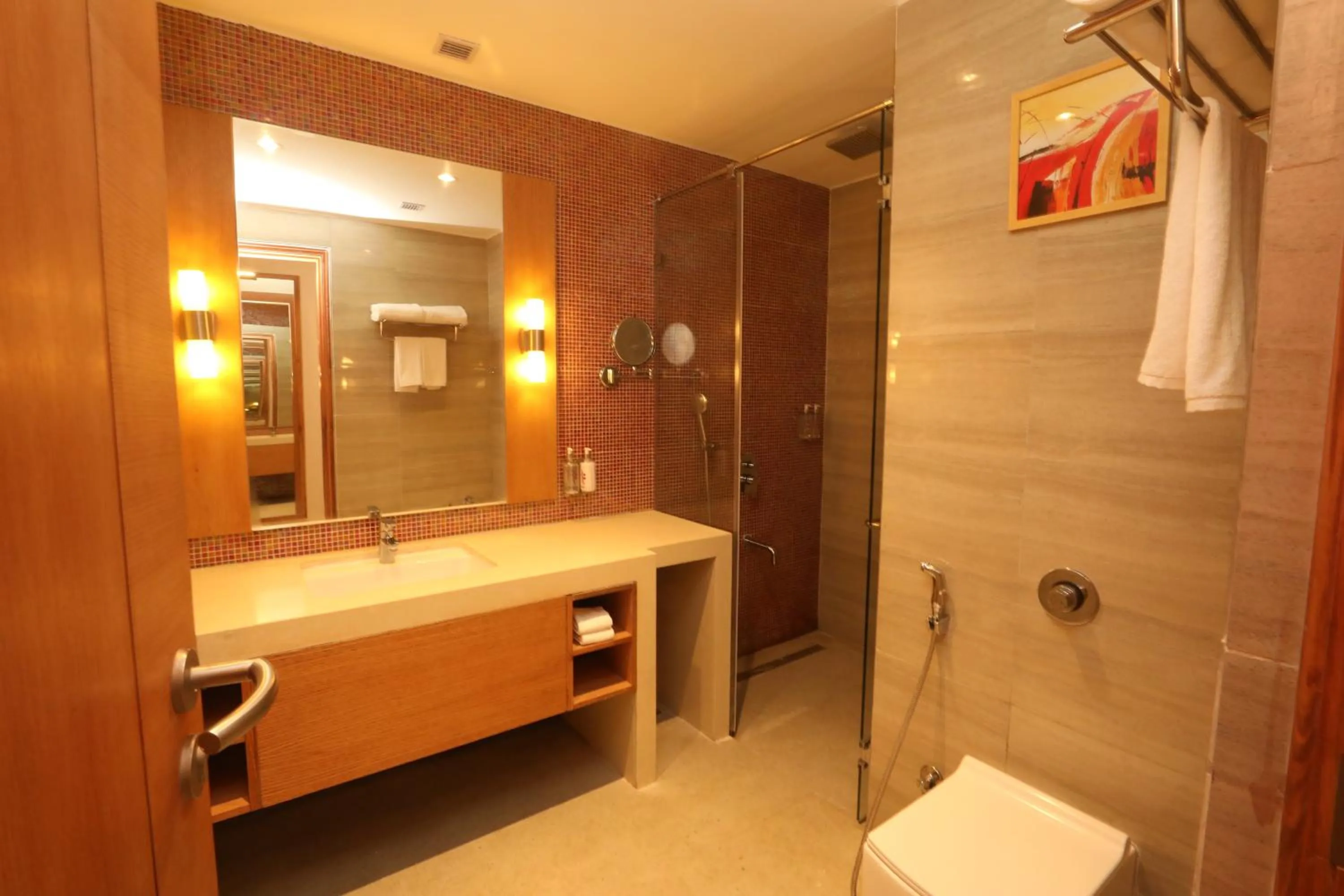 Bathroom in Regenta Central Udaipur, Court Circle