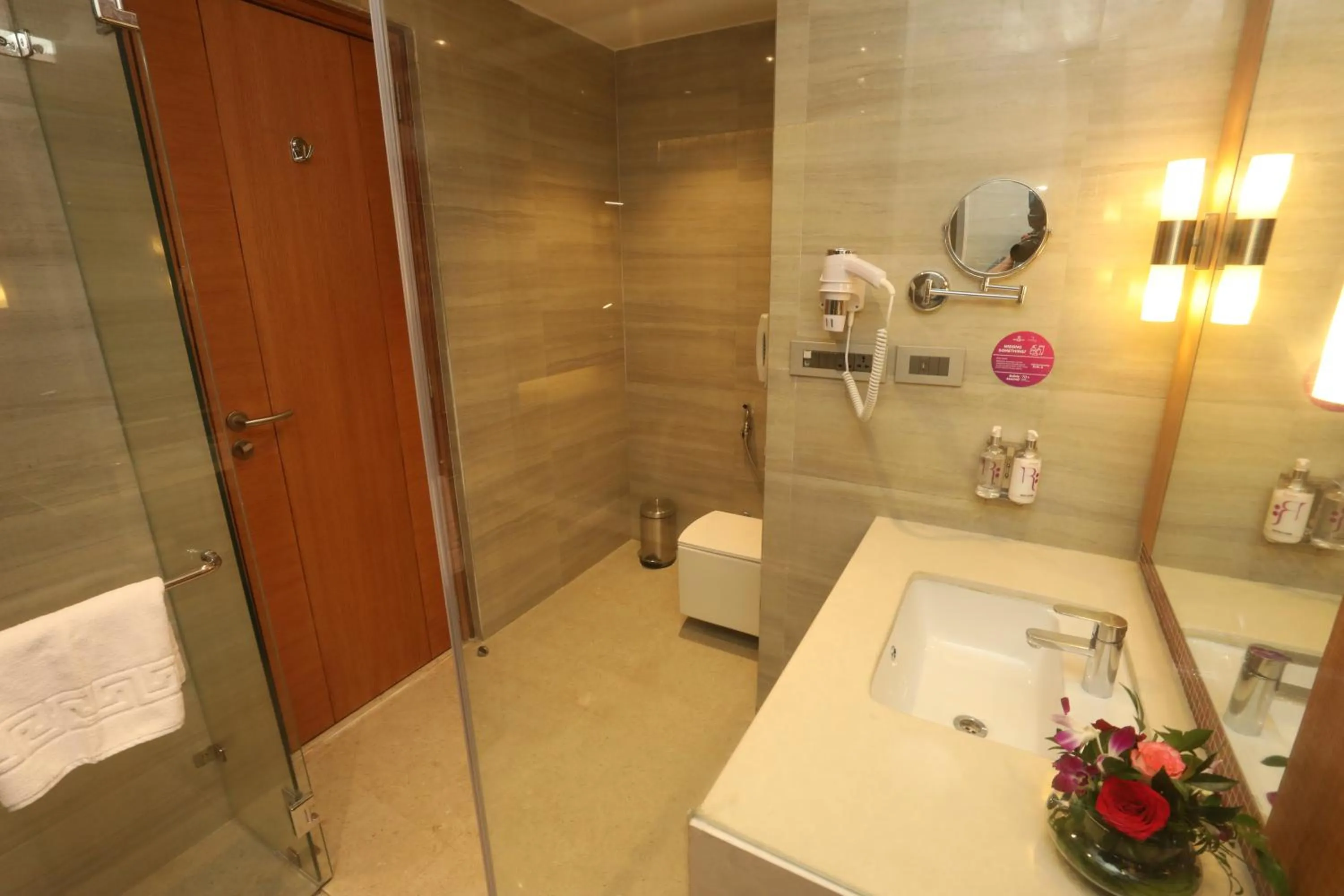 Bathroom in Regenta Central Udaipur, Court Circle