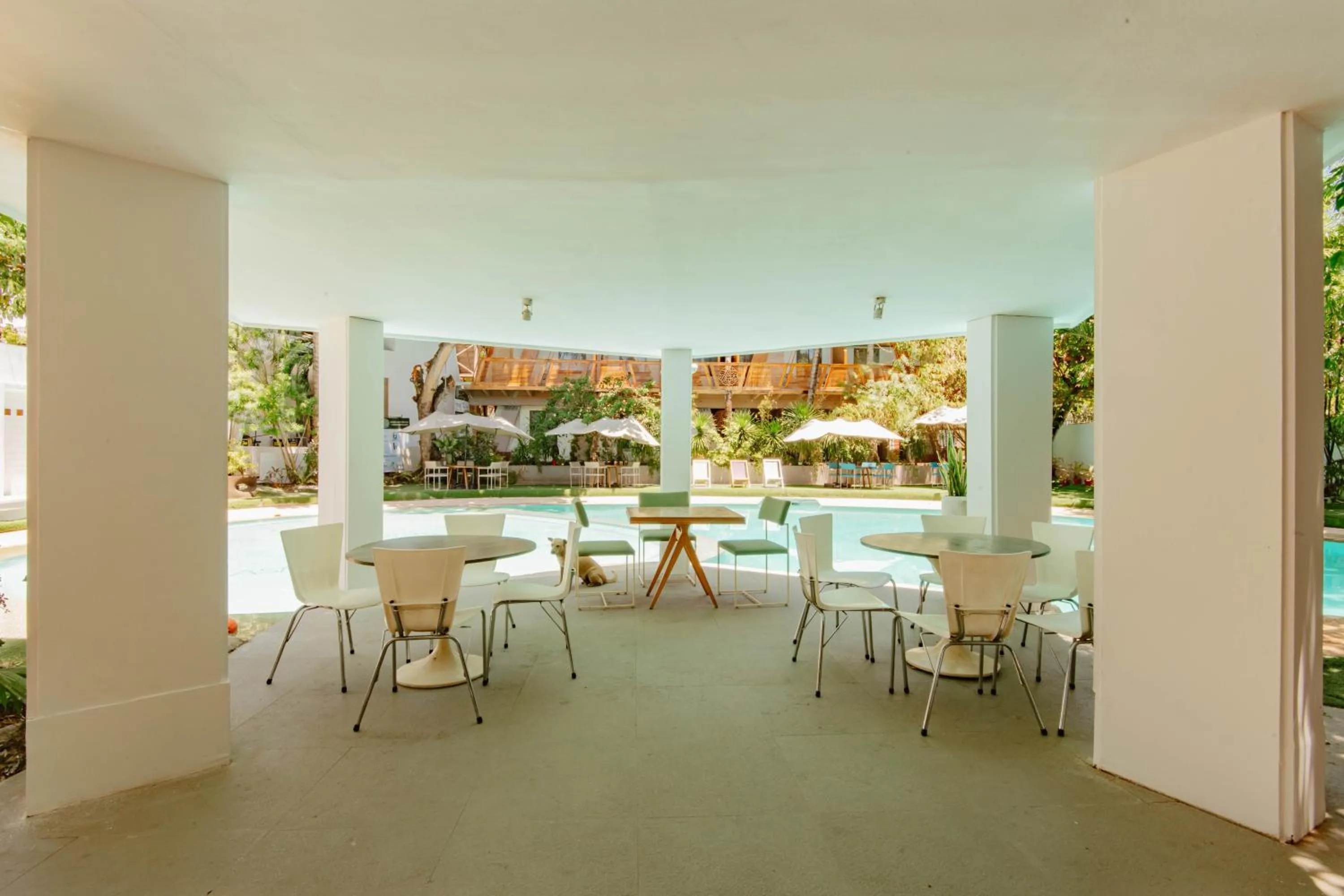 Pool view in Asmara Urban Resort & Lifestyle Village Powered by ASTON