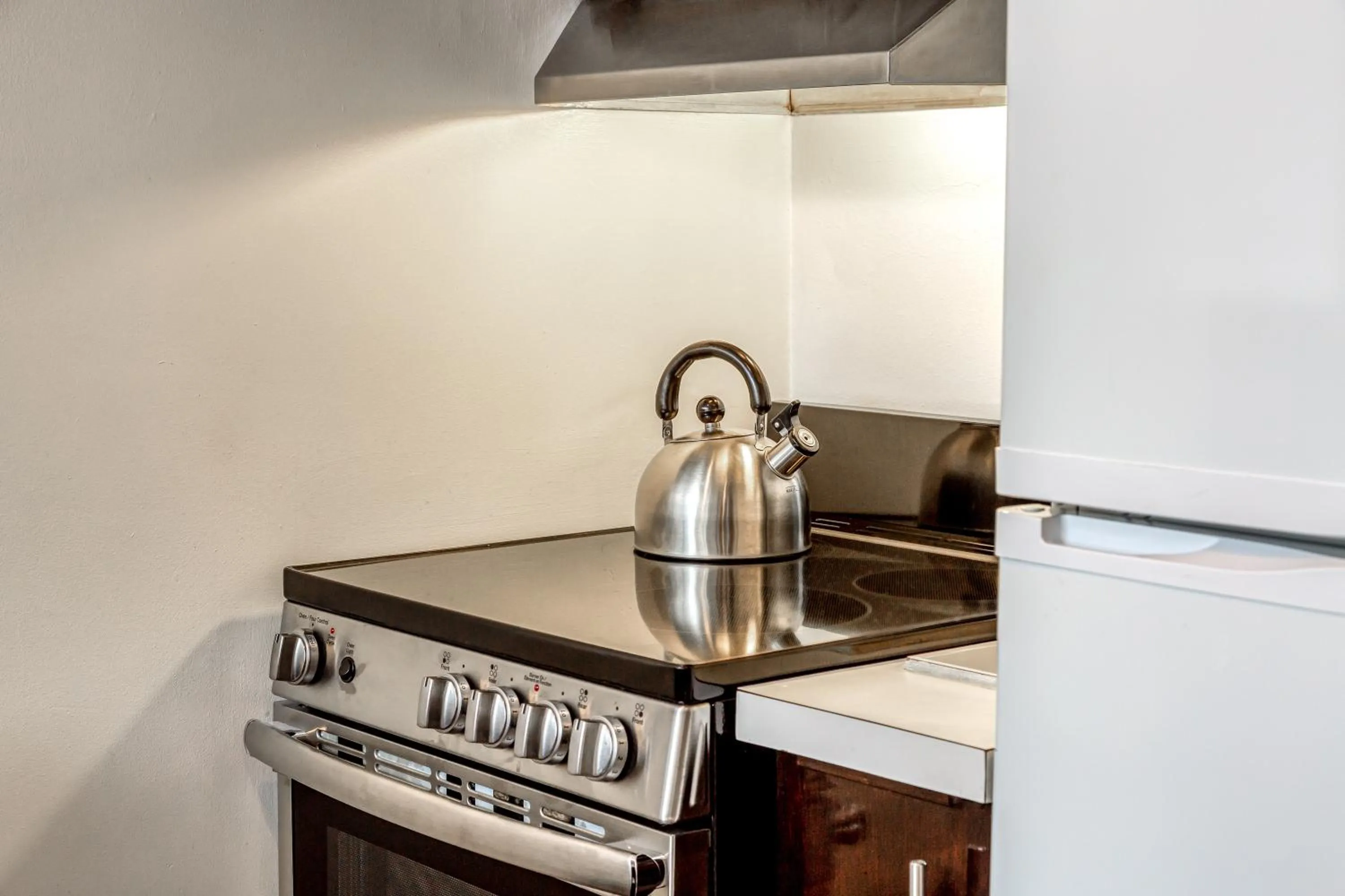 Kitchen or kitchenette in Hôtel Le Cantlie Suites