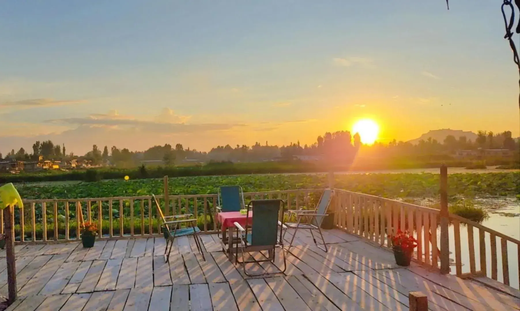 Deluxe Family Suite in Houseboat young wild Rose Deluxe Family Suite in Houseboat young wild Rose