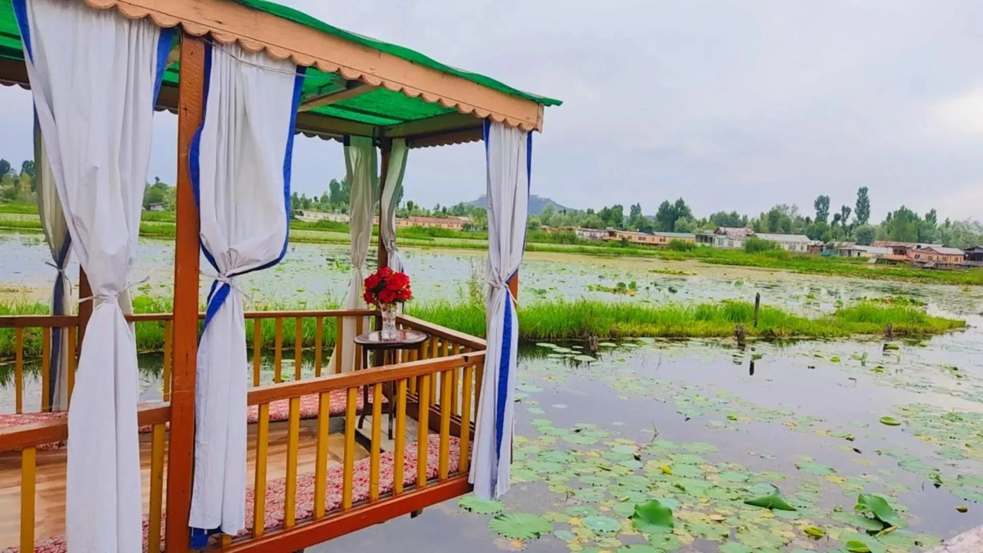 Houseboat young wild Rose