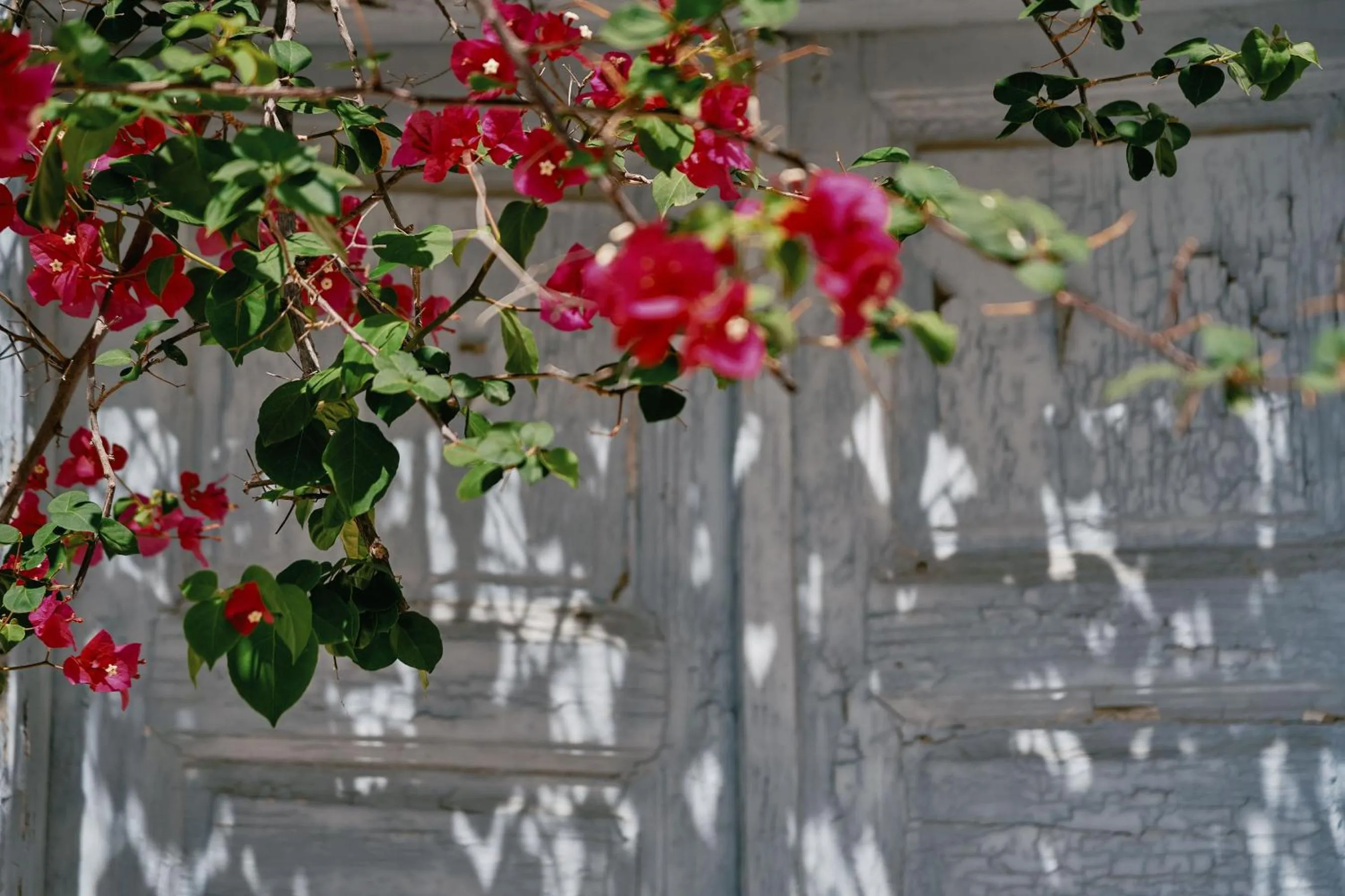 Neighbourhood in Origami Boutique Residences