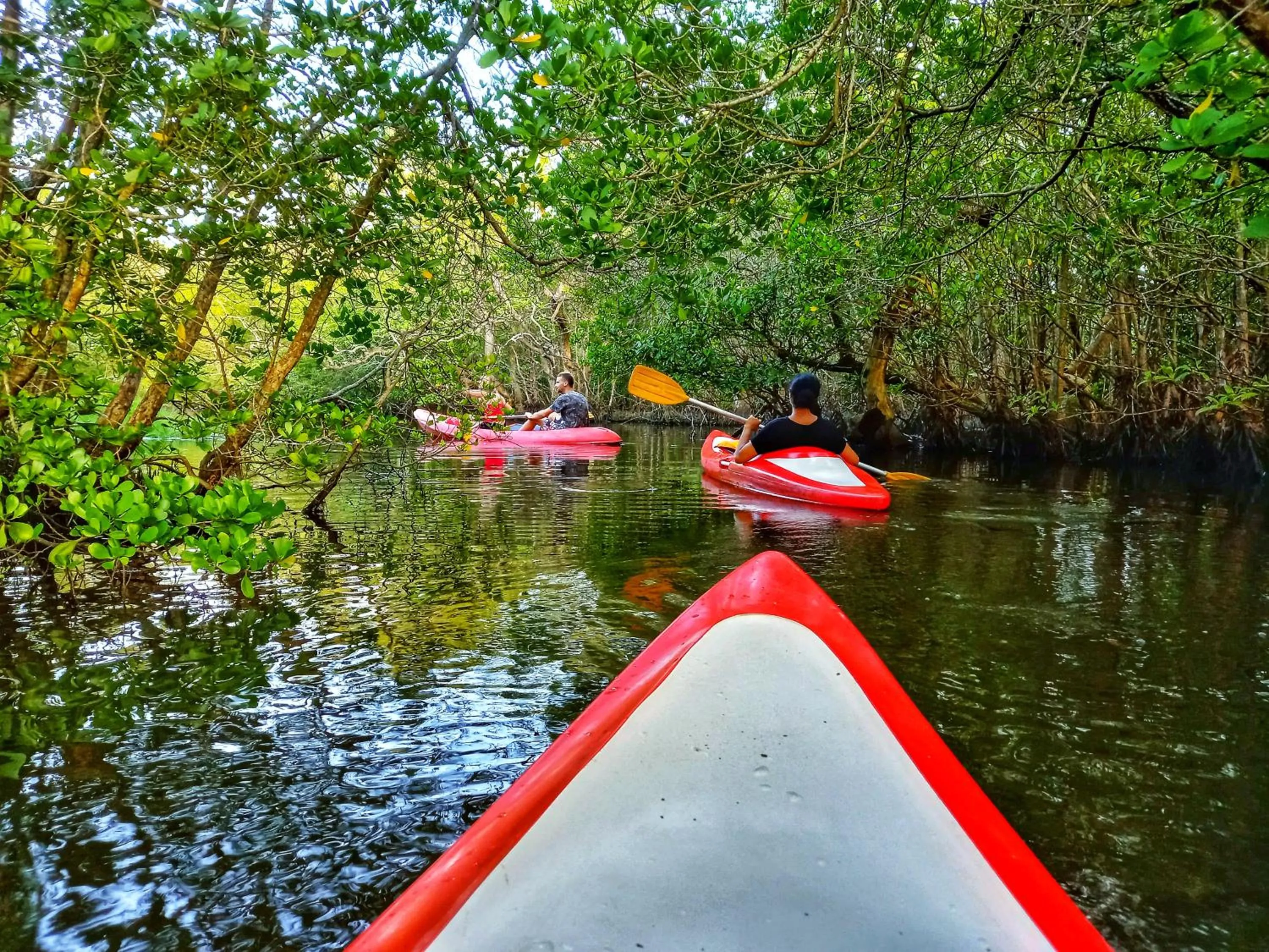Activities in Schatzi's Hideaway