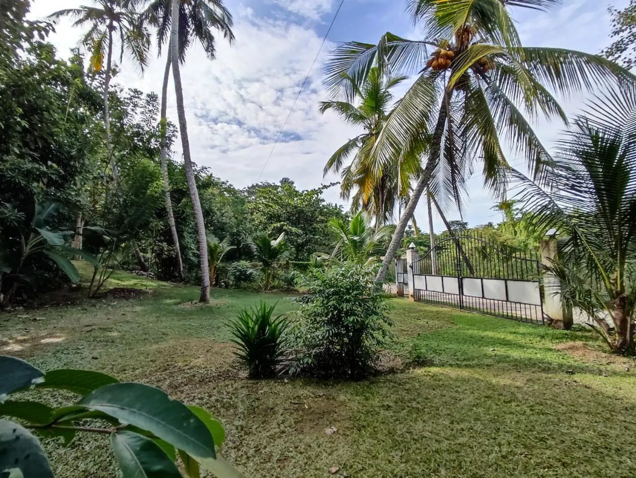 Garden in Schatzi's Hideaway