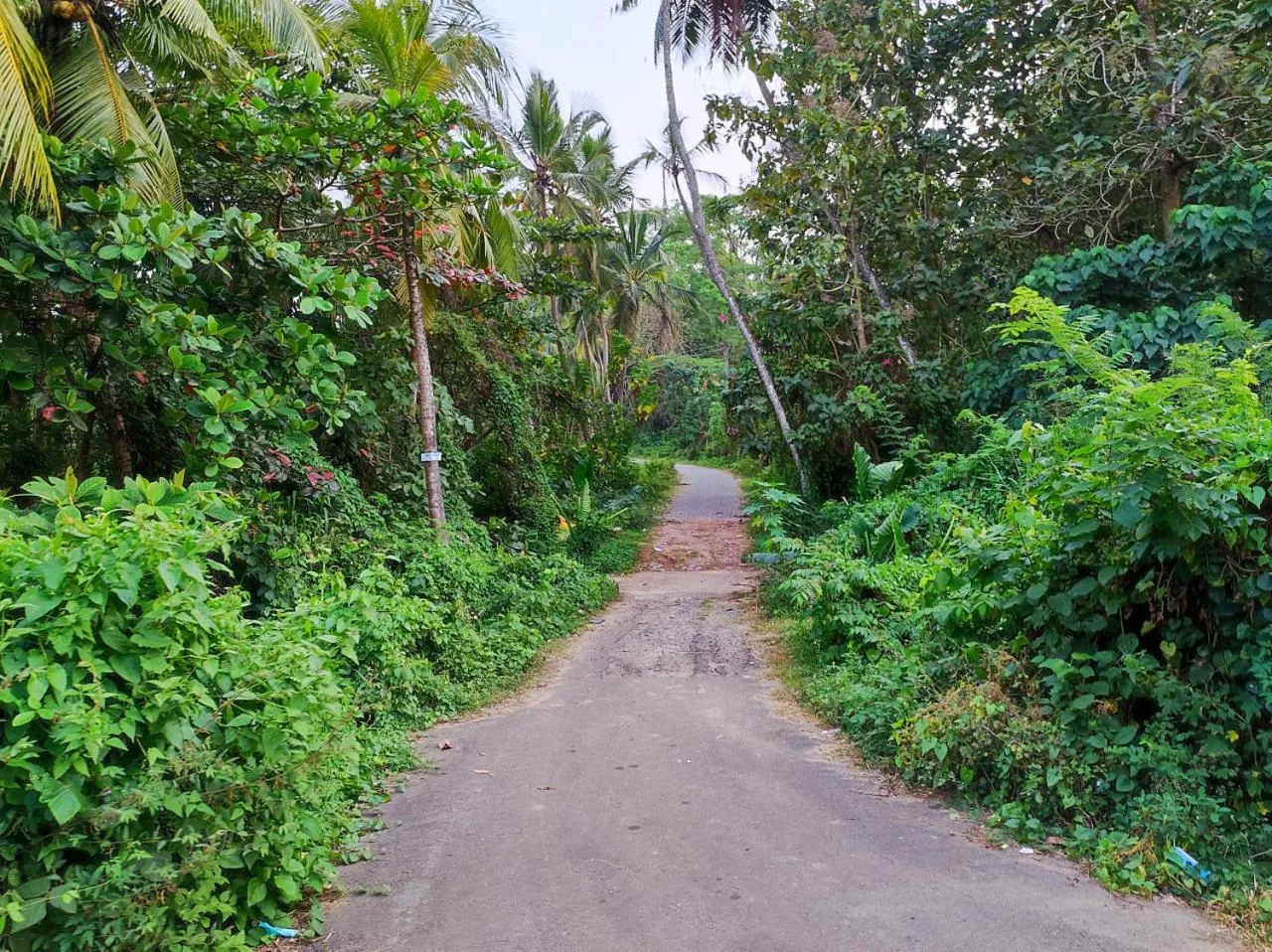 Facade/entrance in Schatzi's Hideaway