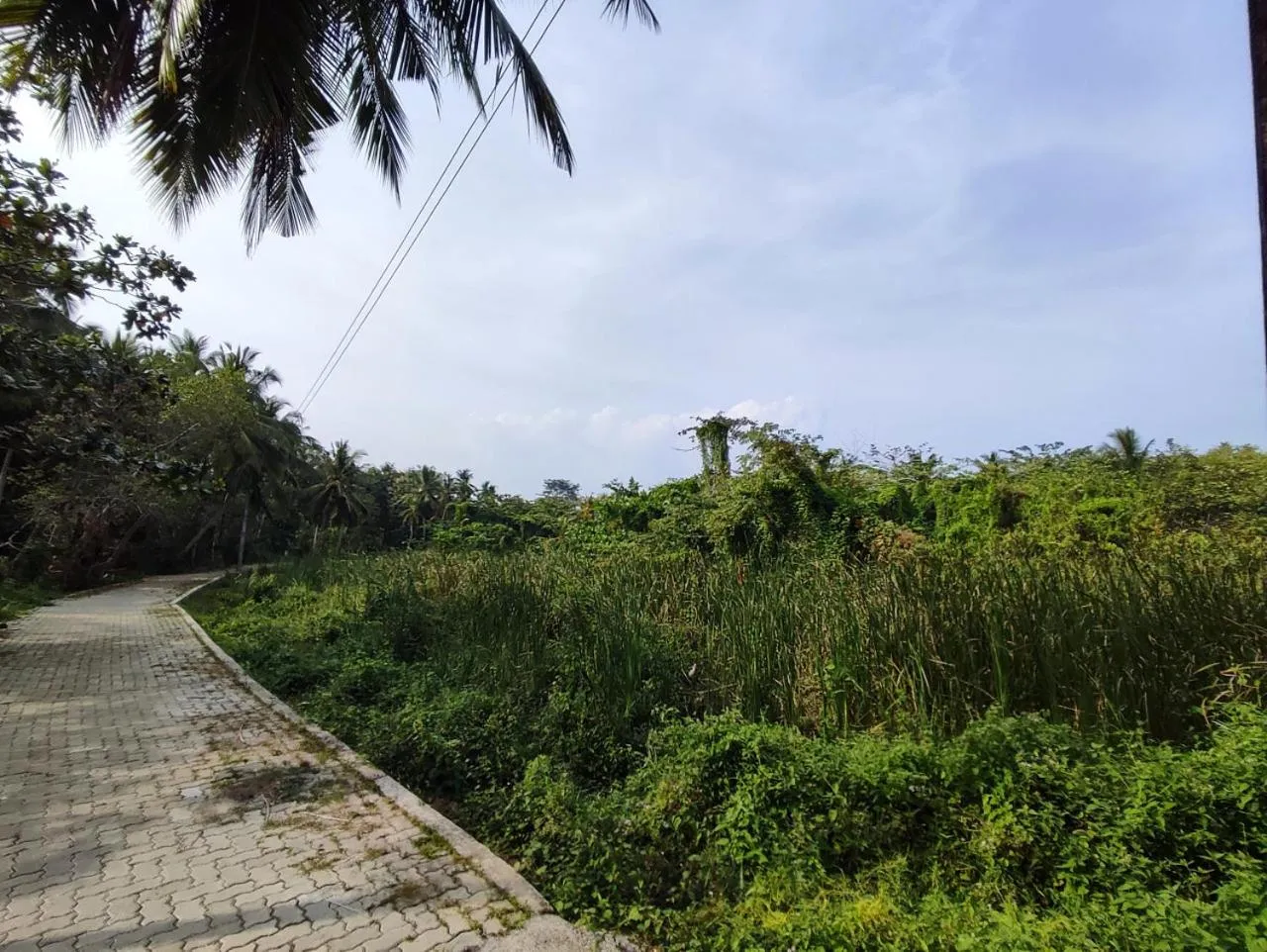 Natural landscape in Schatzi's Hideaway