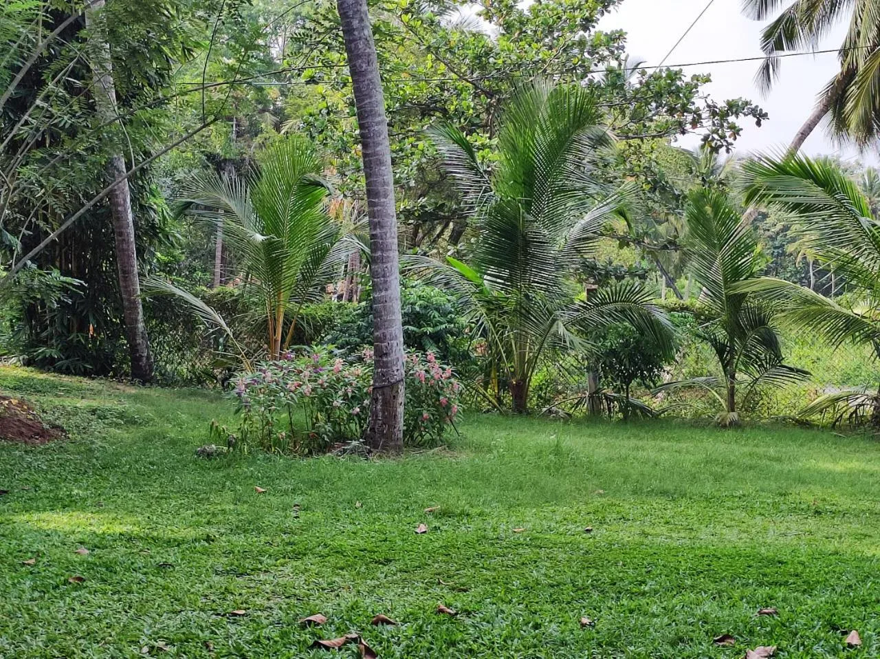 Natural landscape in Schatzi's Hideaway