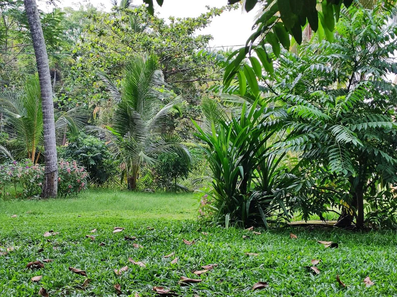 Natural landscape in Schatzi's Hideaway