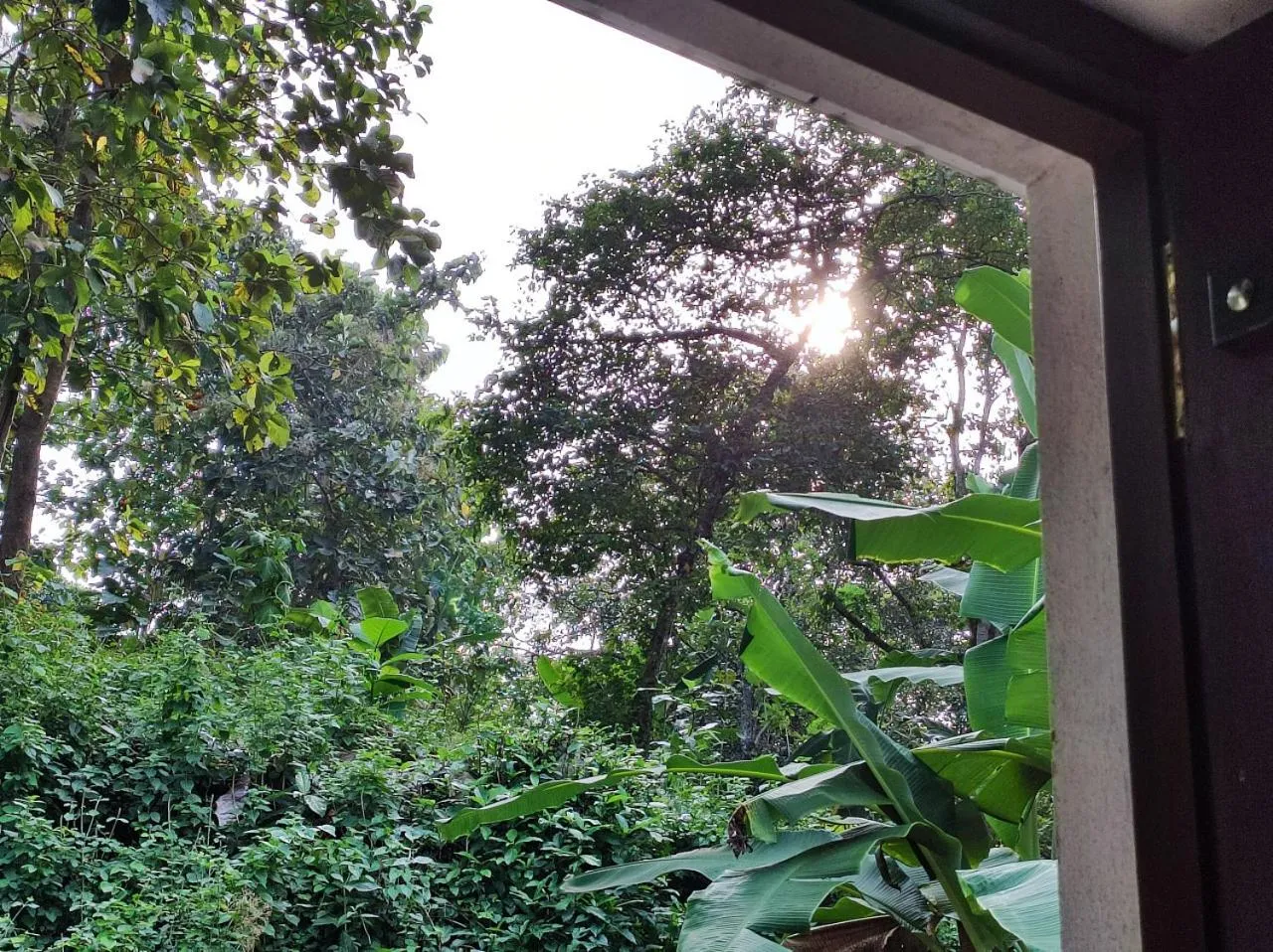 Garden view in Schatzi's Hideaway