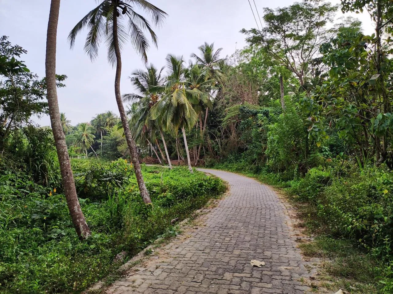 Natural landscape in Schatzi's Hideaway