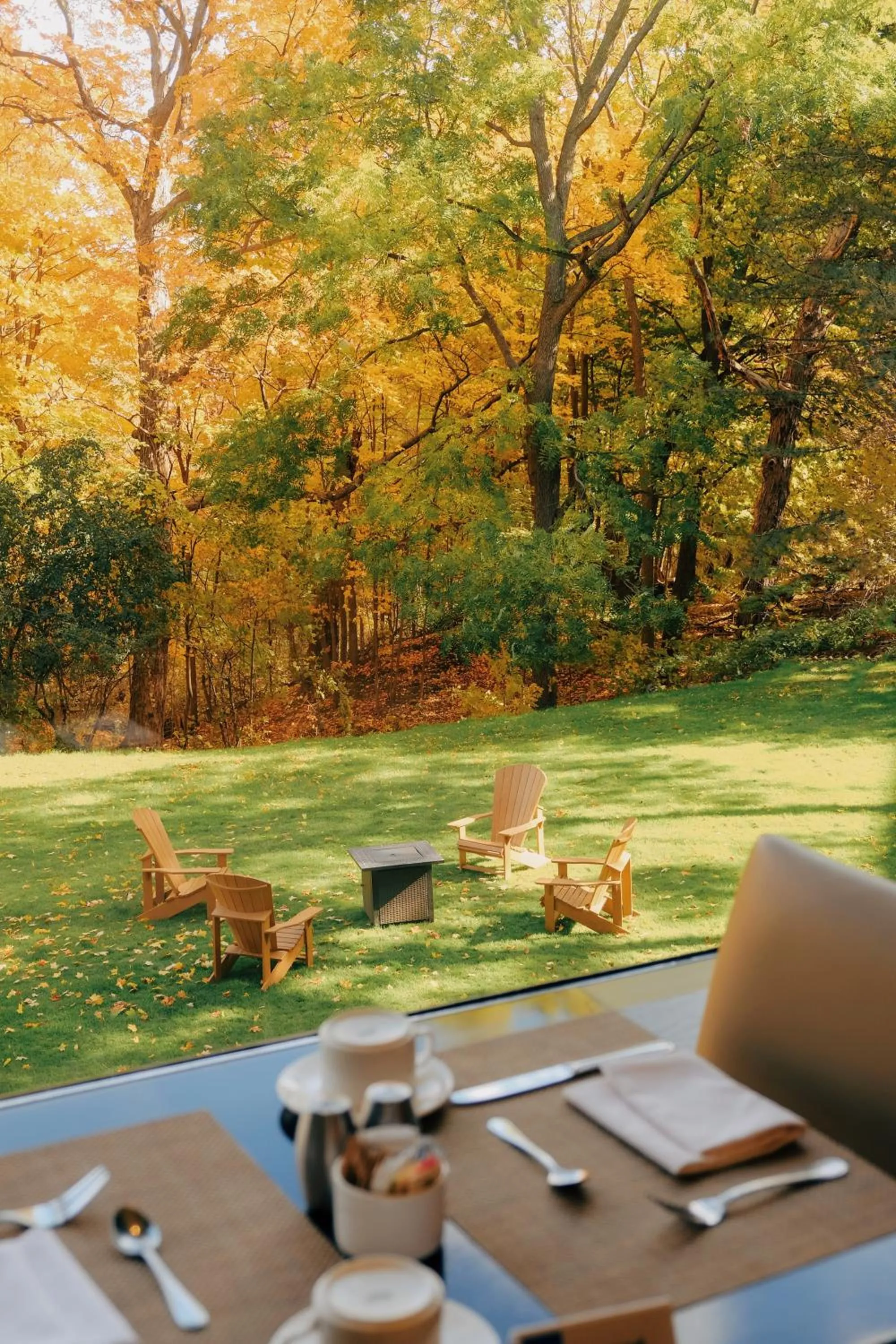 Garden in Crowne Plaza Toronto - North York by IHG