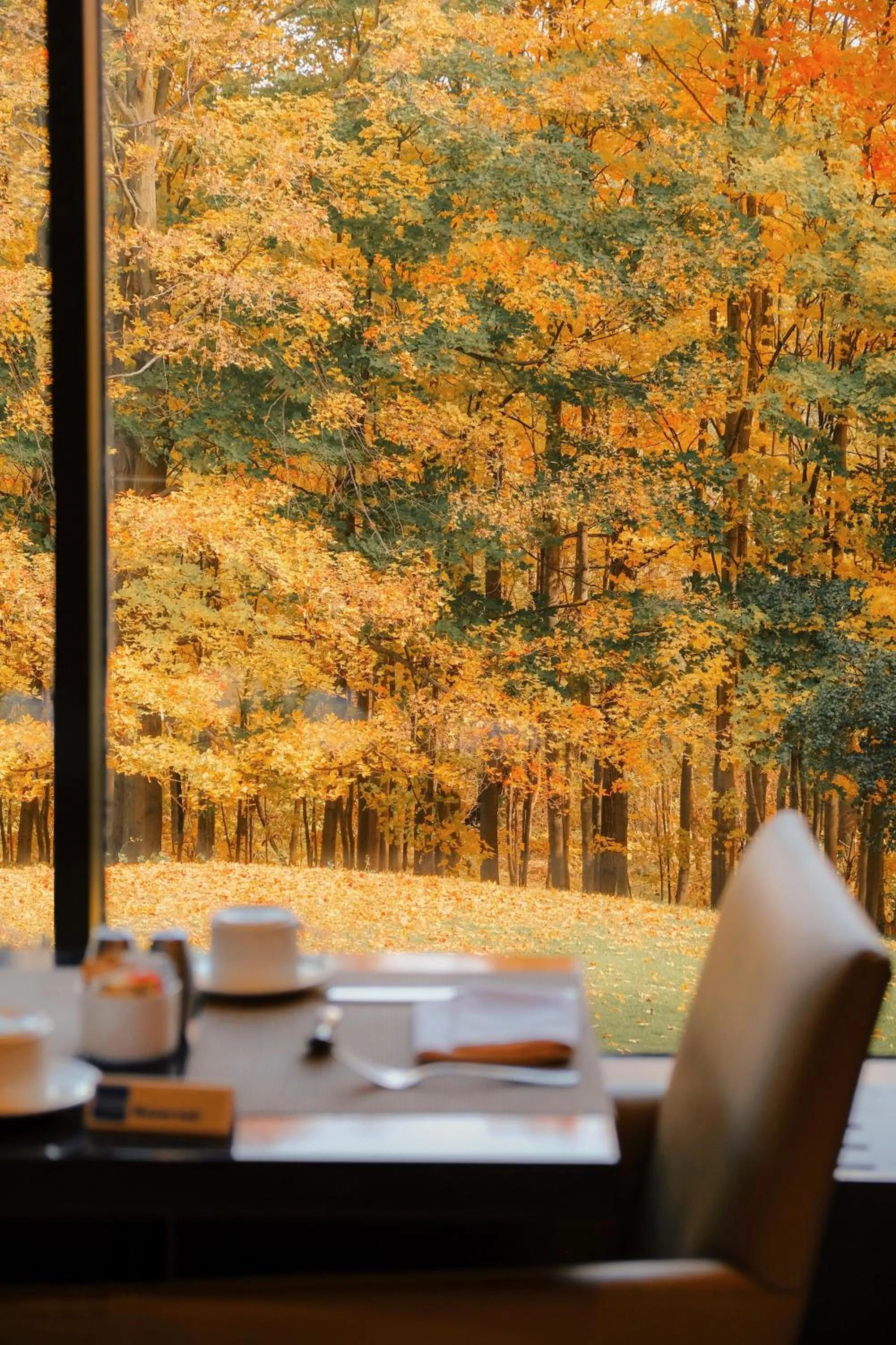 Restaurant/places to eat in Crowne Plaza Toronto - North York by IHG