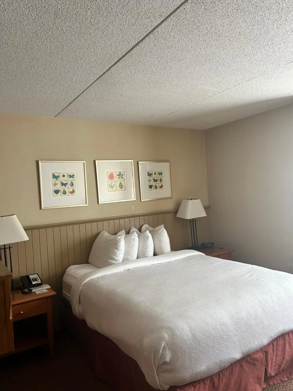 Bed in Charlottetown Inn & Conference Centre