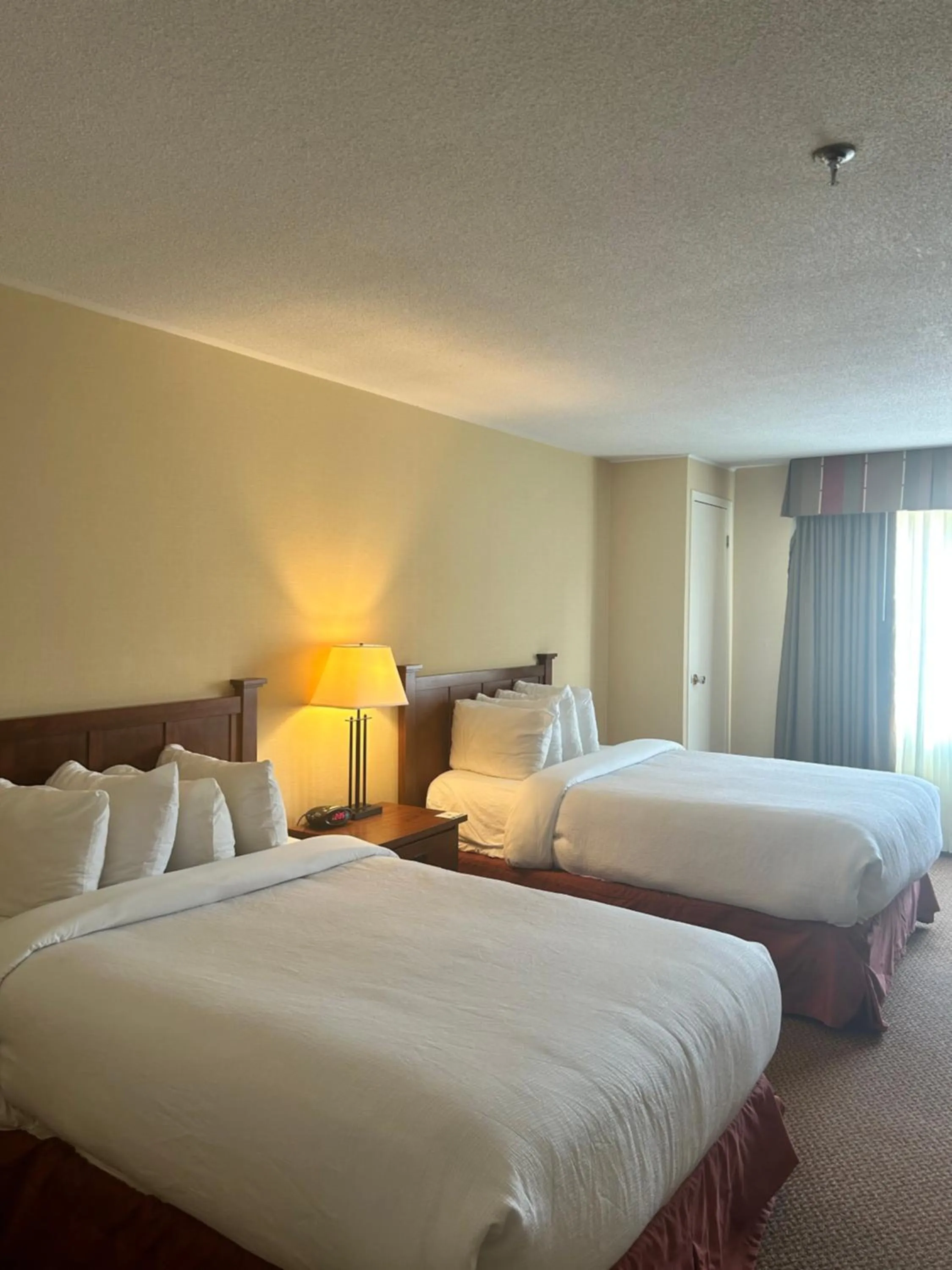 Bed in Charlottetown Inn & Conference Centre