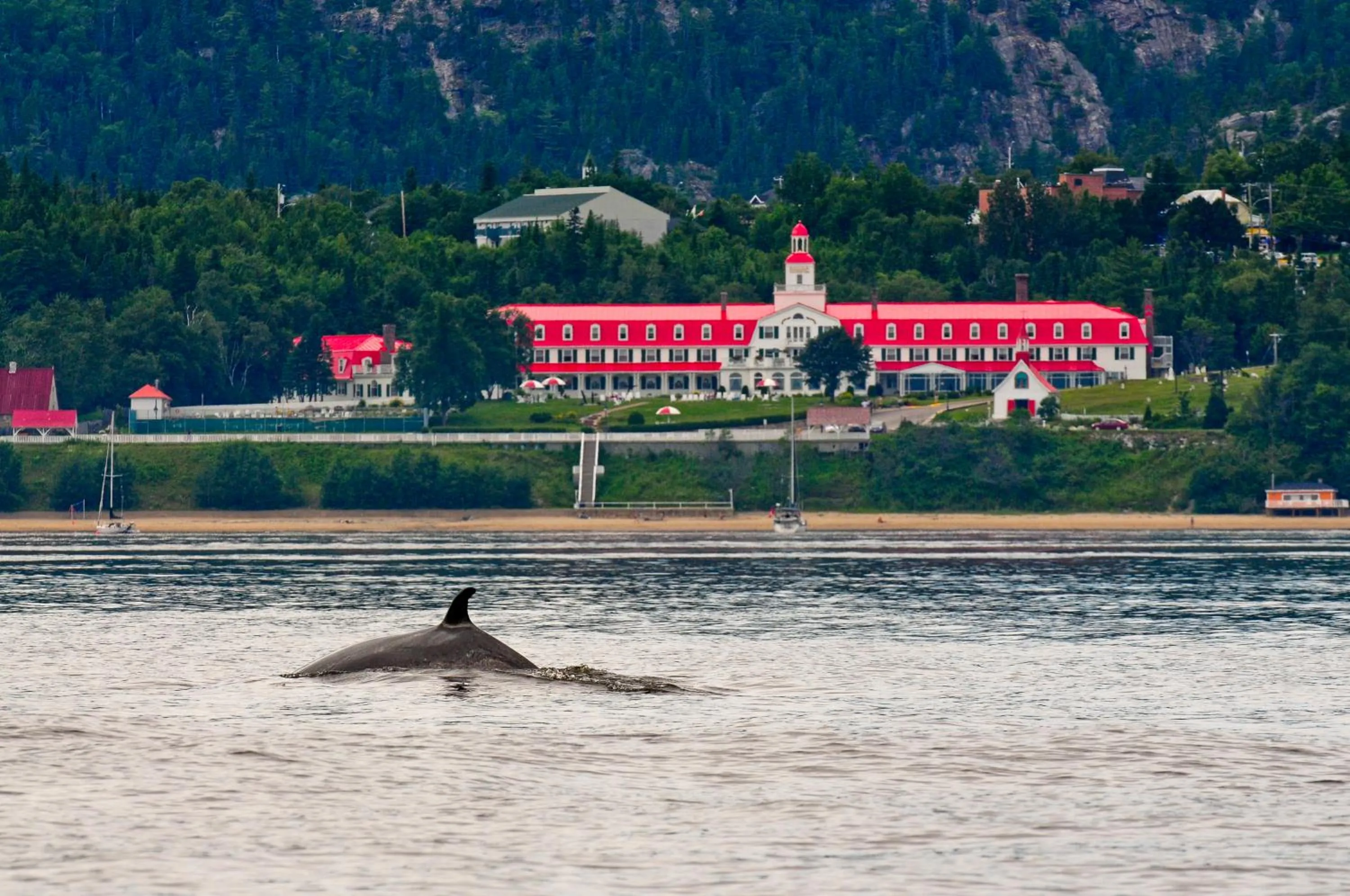 Natural landscape in Hotel Tadoussac
