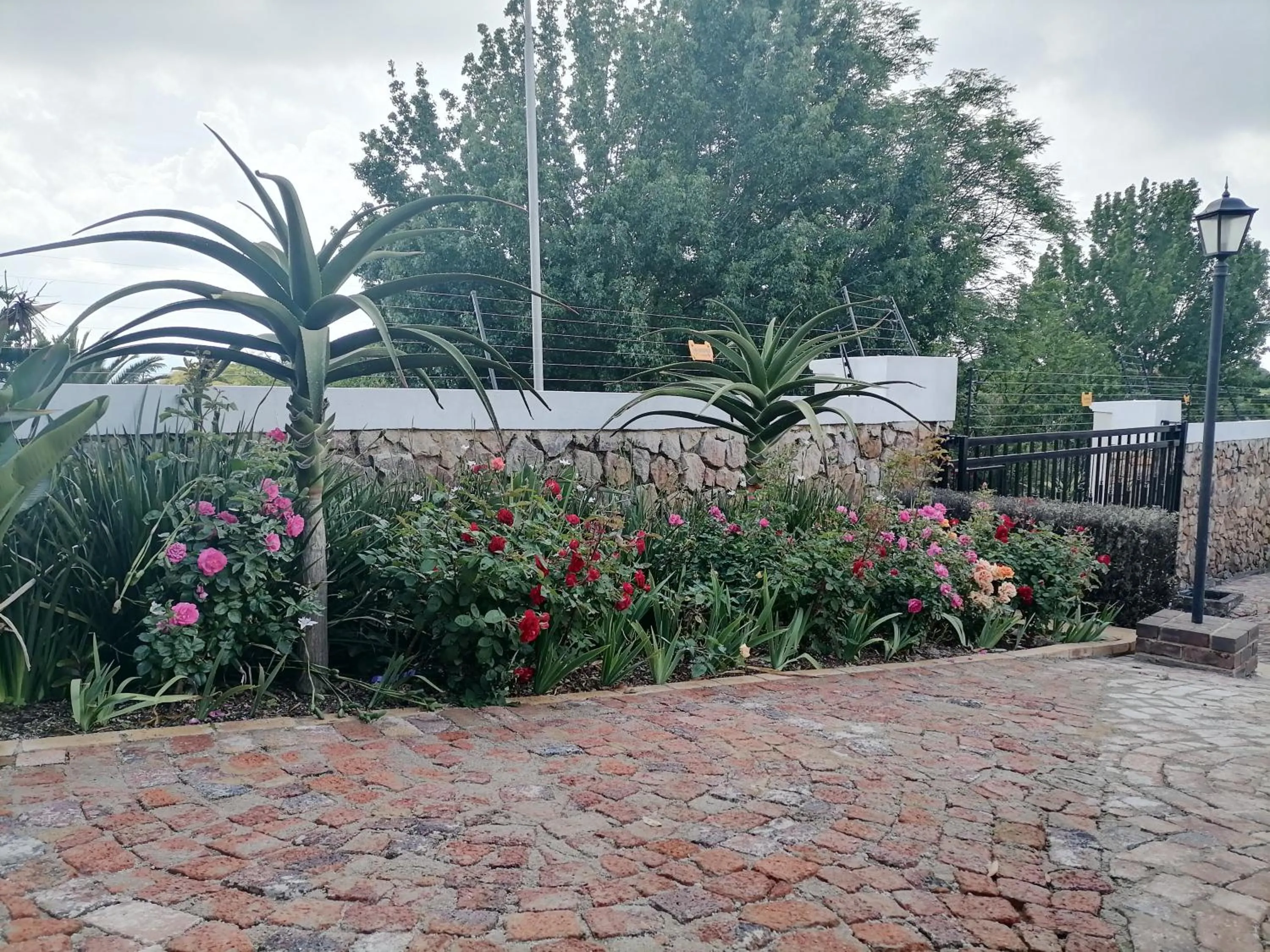 Garden in CityView, a stunning modern apartment