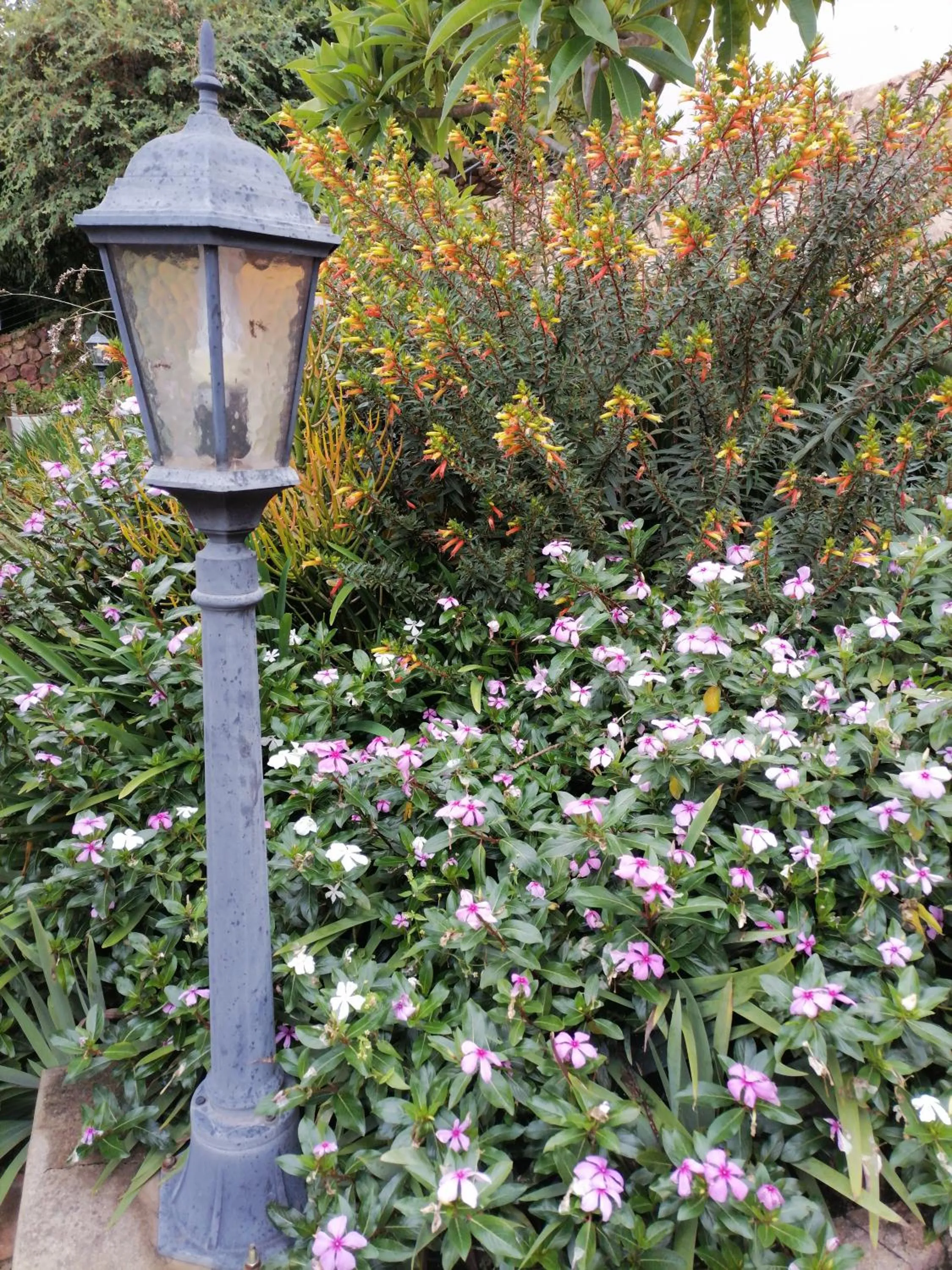 Garden in CityView, a stunning modern apartment