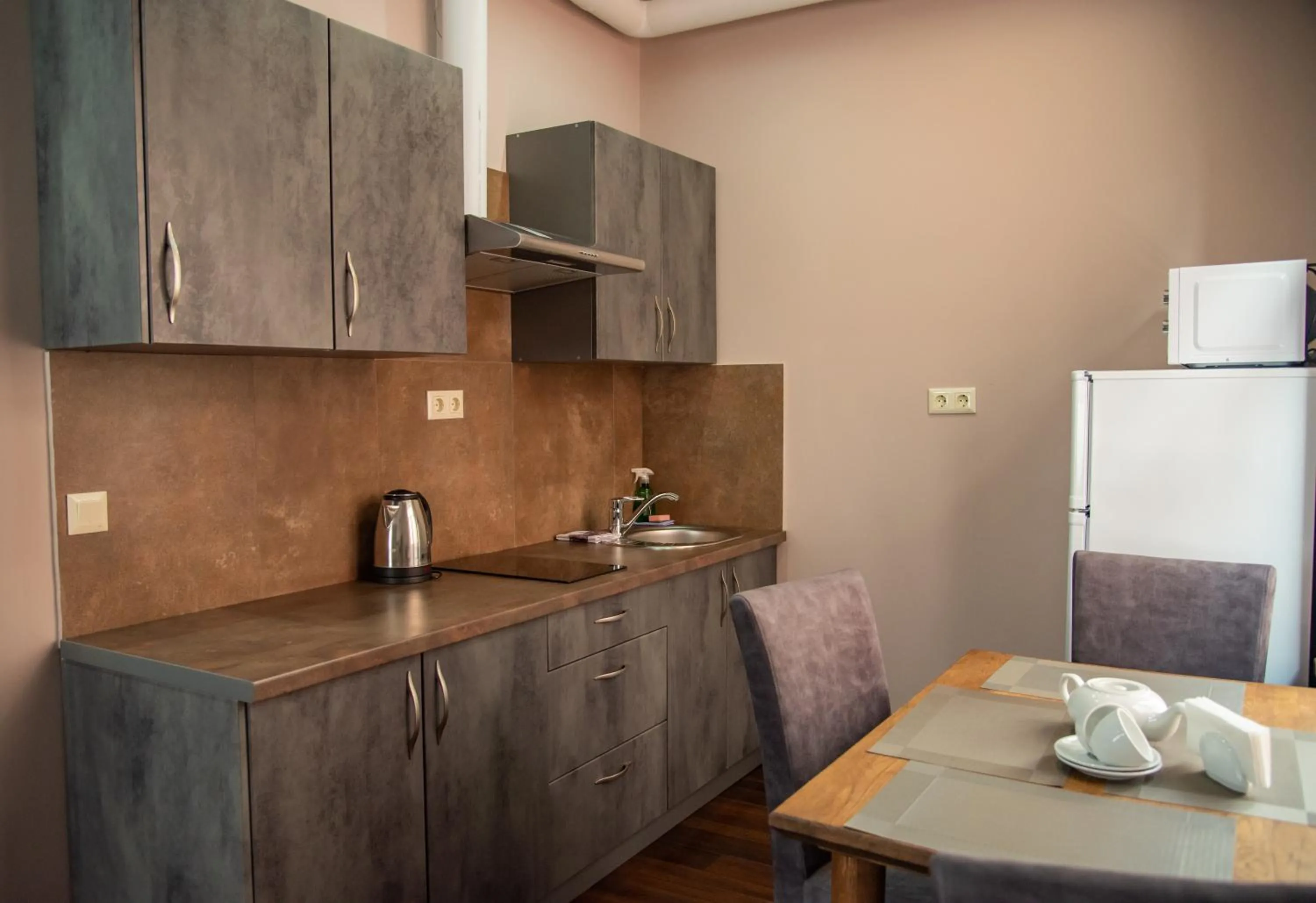 Kitchen or kitchenette in T&S Apart-Hotel
