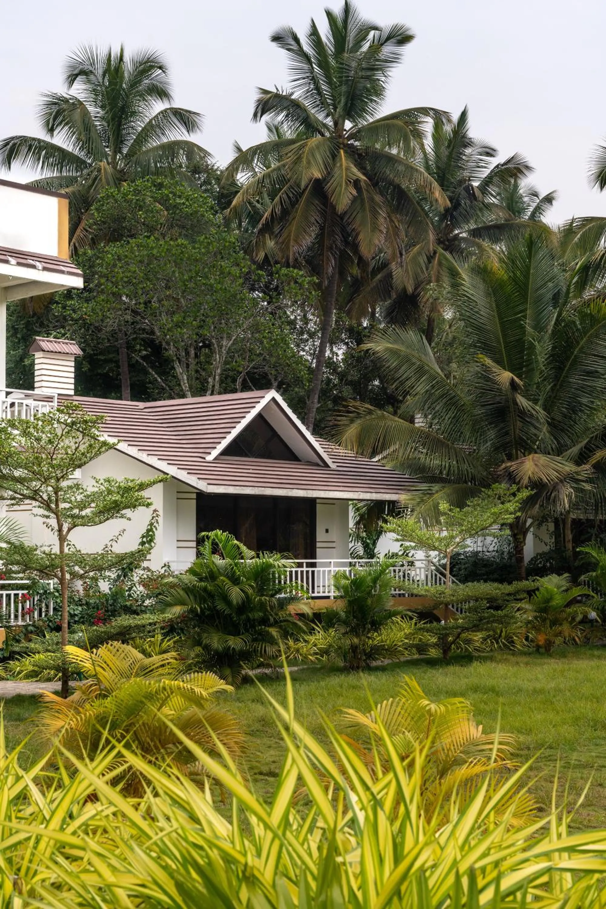 Garden view in Shreeyog Resort Dandeli