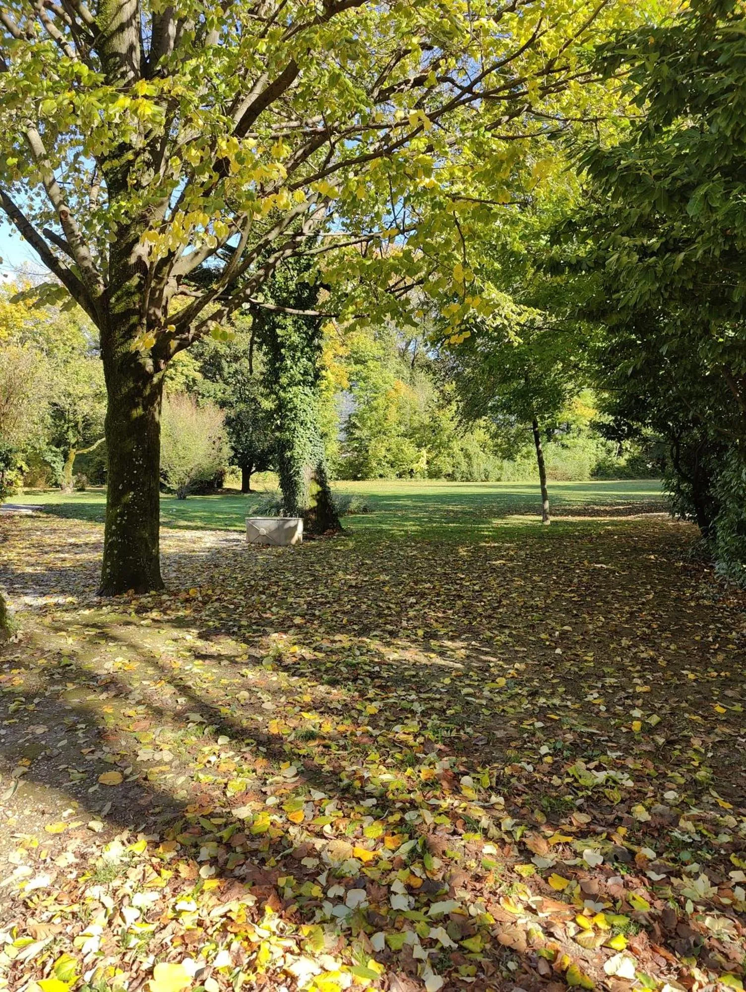 Domaine Clairfontaine Noyarey - Suites Junior