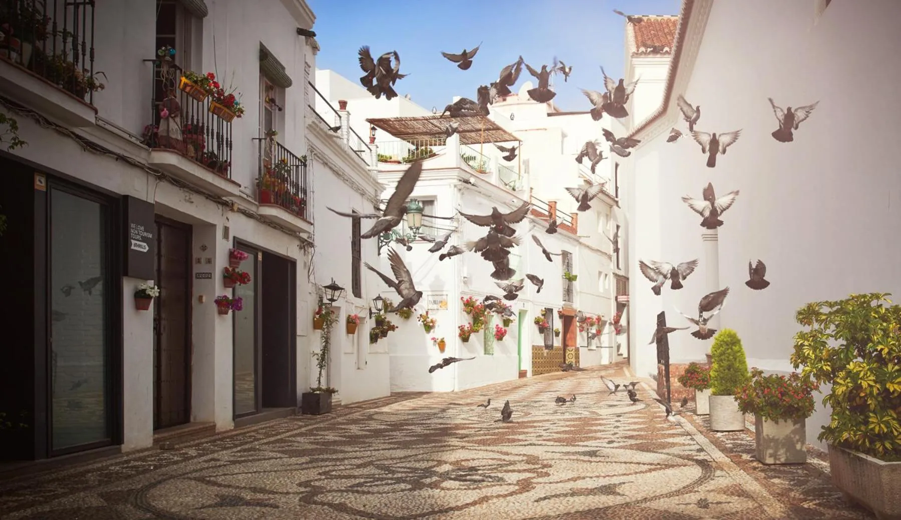 Neighbourhood in Balcon de Europa