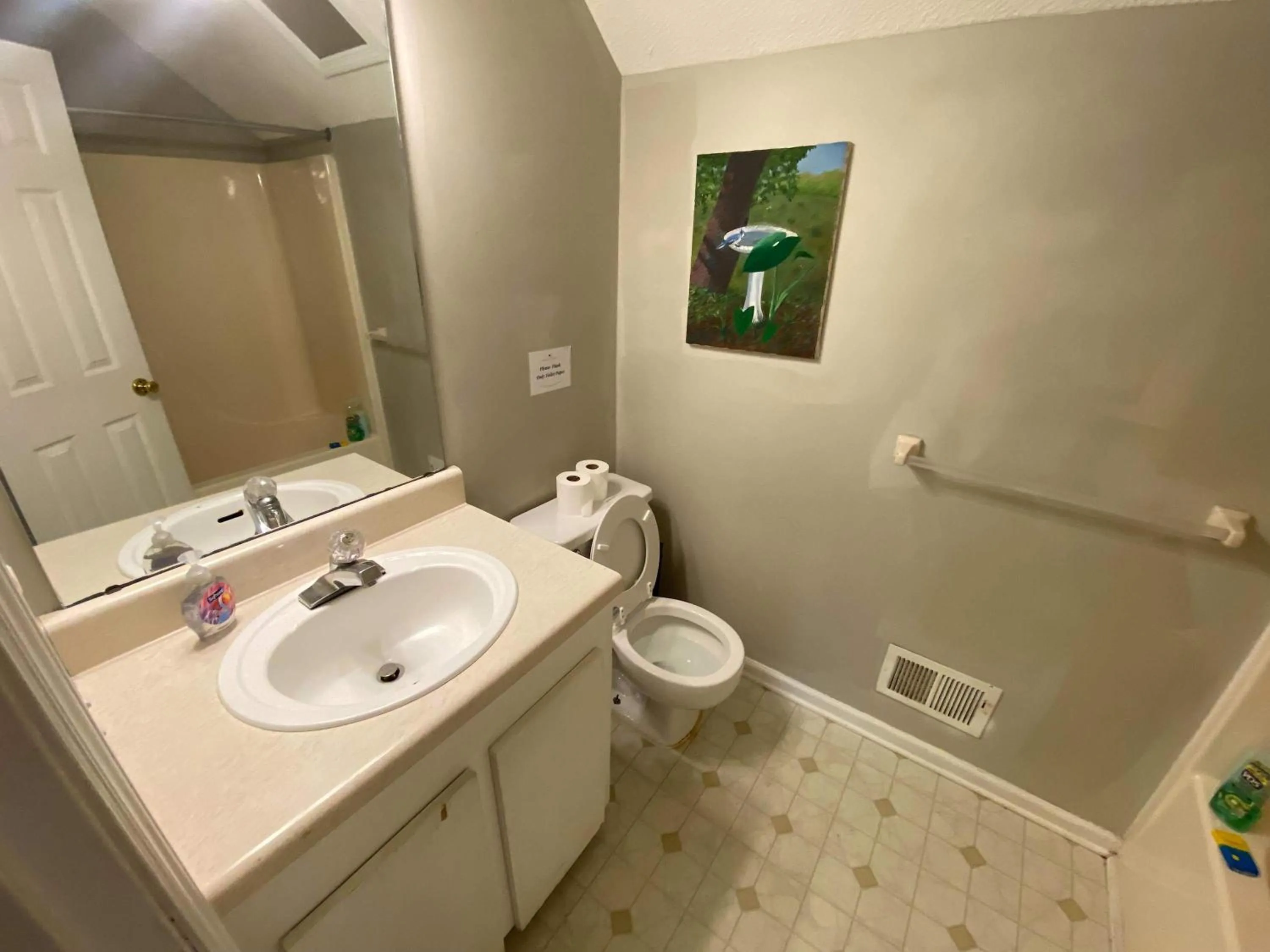 The Garnet Goliath Columbias Biggest BnB Yard