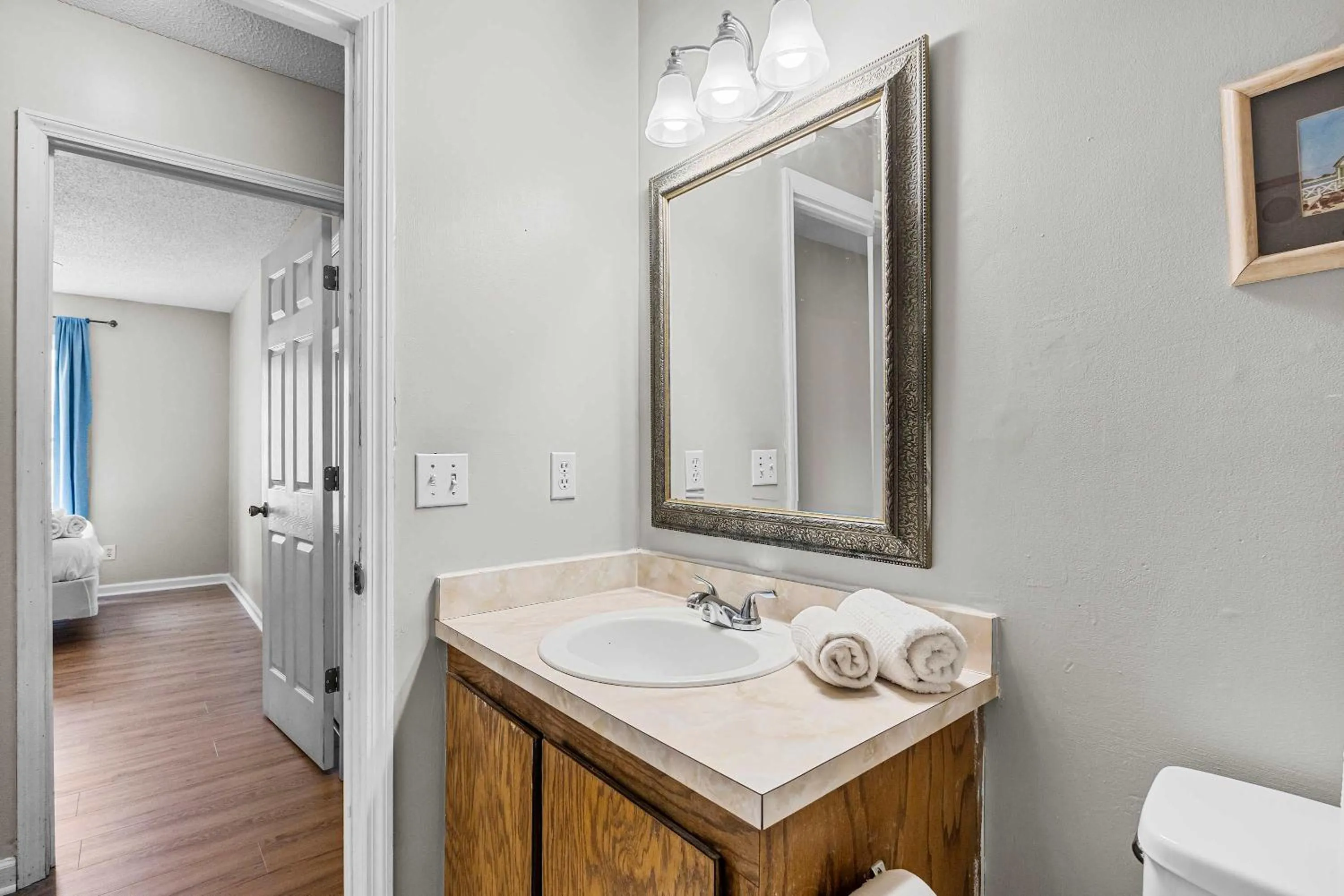 The Garnet Goliath Columbias Biggest BnB Yard