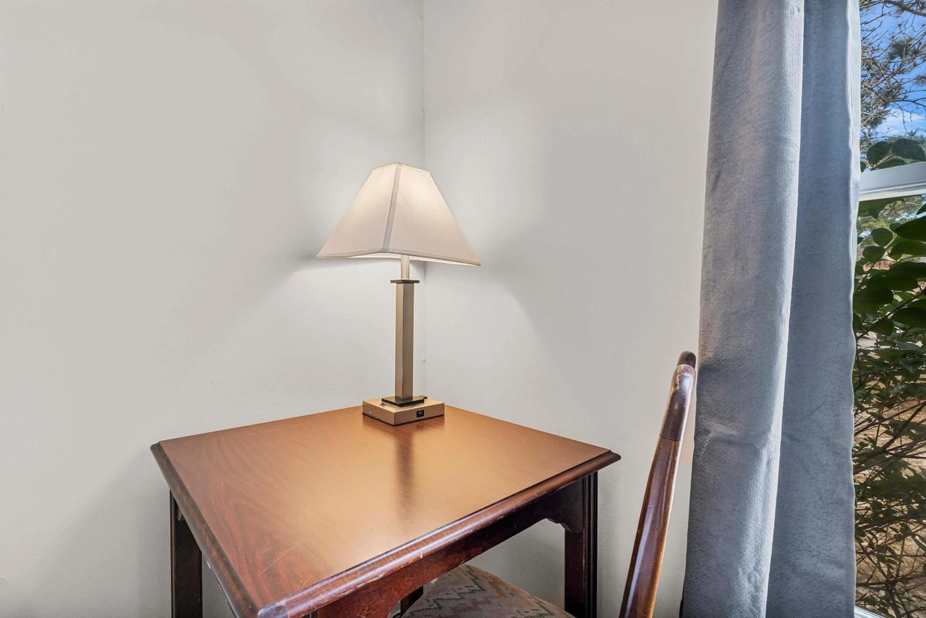 The Garnet Goliath Columbias Biggest BnB Yard