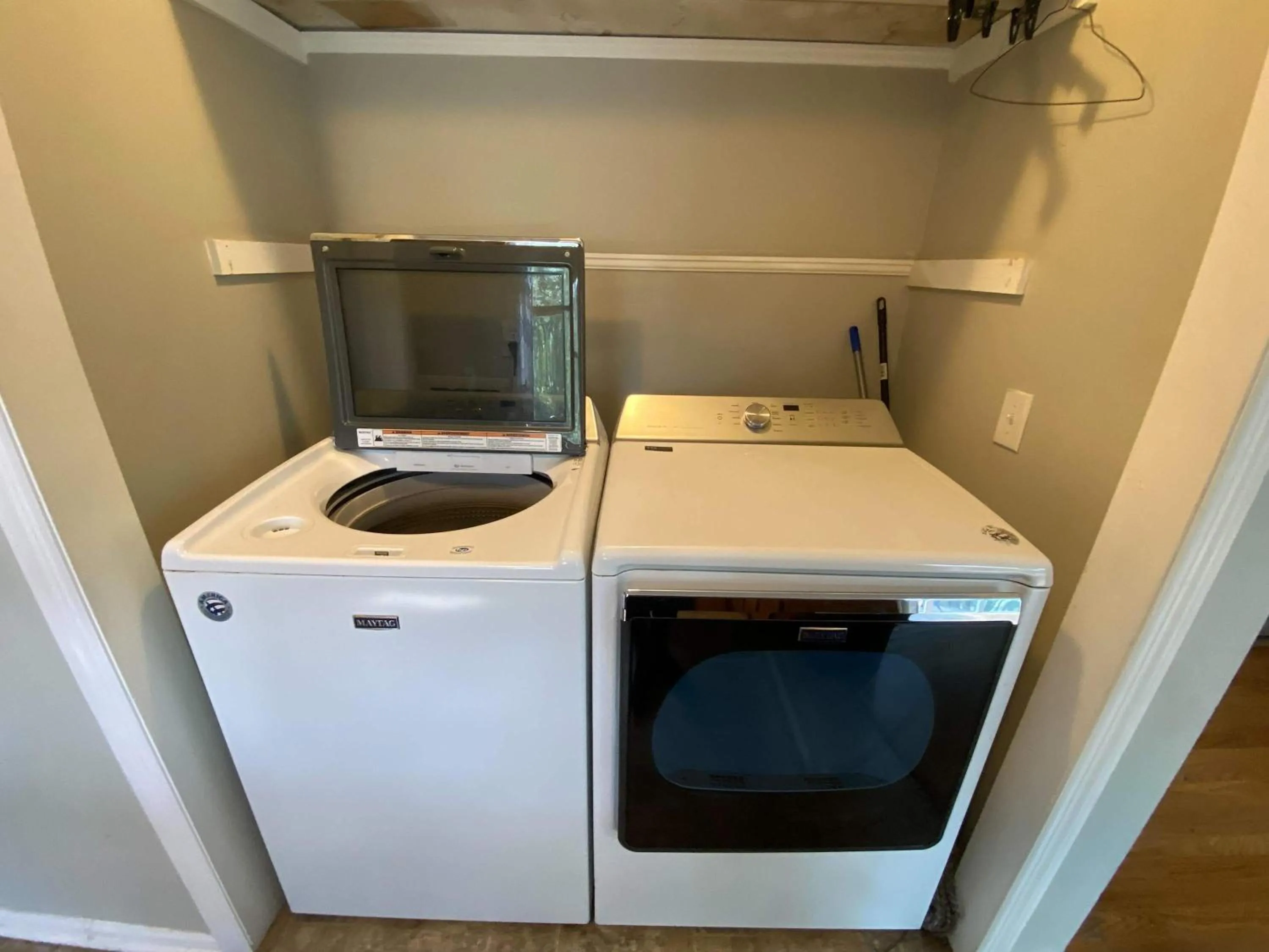 The Garnet Goliath Columbias Biggest BnB Yard