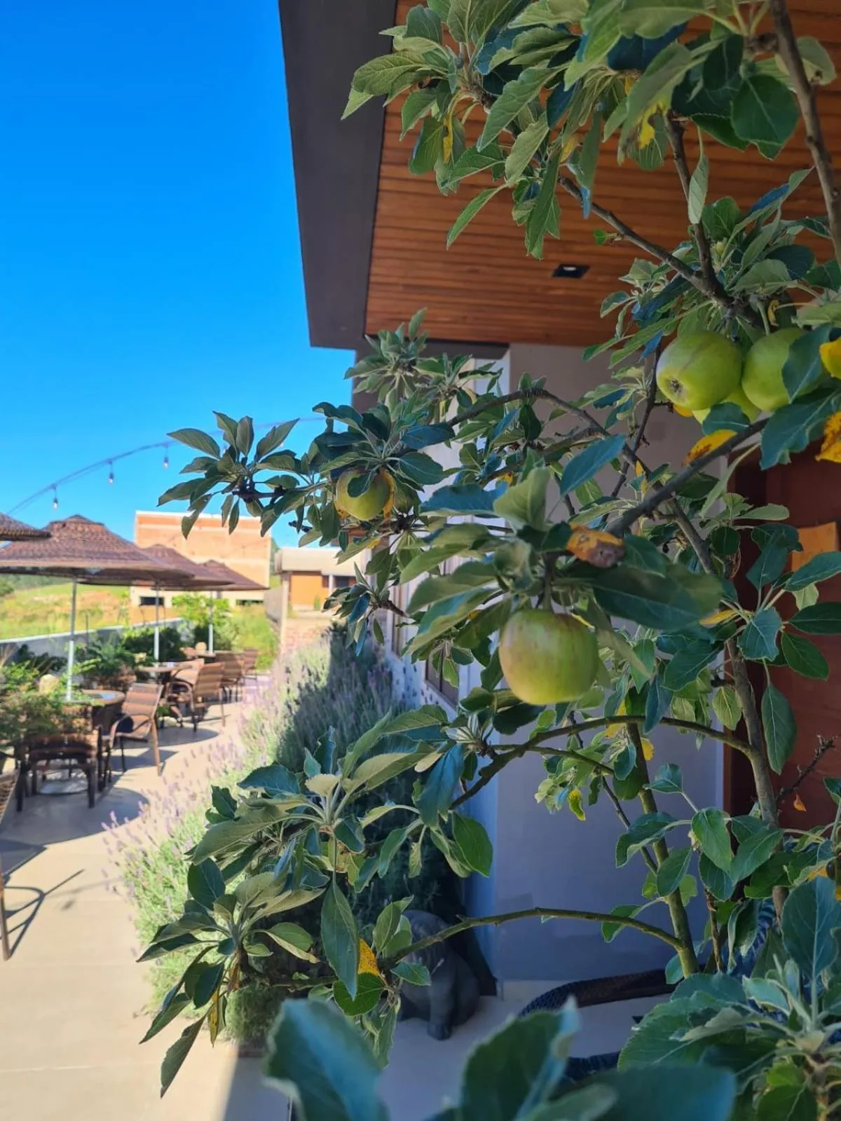 Refúgio dos Coiotes