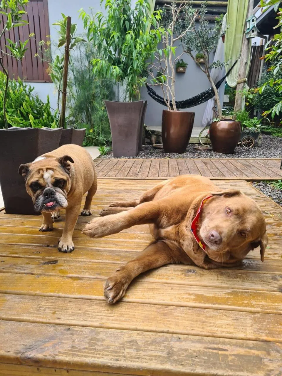 Refúgio dos Coiotes