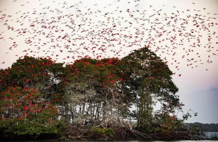 Pousada Cristo Rei-Parnaíba