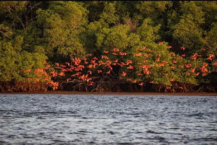 Pousada Cristo Rei-Parnaíba